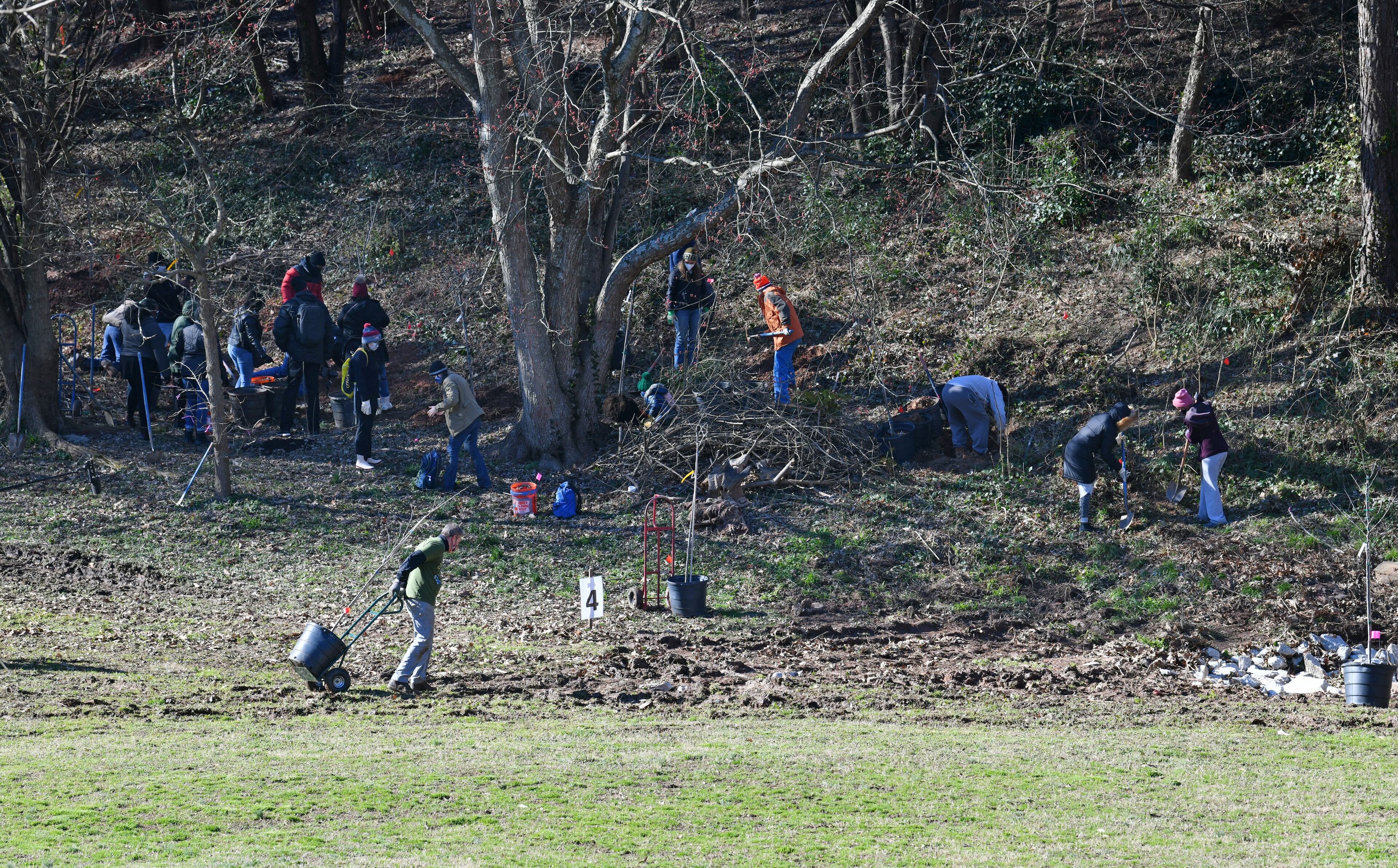 Volunteers plant trees as part of a three-day effort to create a living tree tribute to memorialize the late Congressman John Lewis in Freedom Park on Saturday, February 20, 2021. The National Center for Civil and Human Rights is partnering with Freedom Park Conservancy and Trees Atlanta to honor the civil rights icon. A three-day volunteer planting project concludes Sunday, which would have been John Lewis' 81st birthday. (Photo: Hyosub Shin / Hyosub.Shin@ajc.com)