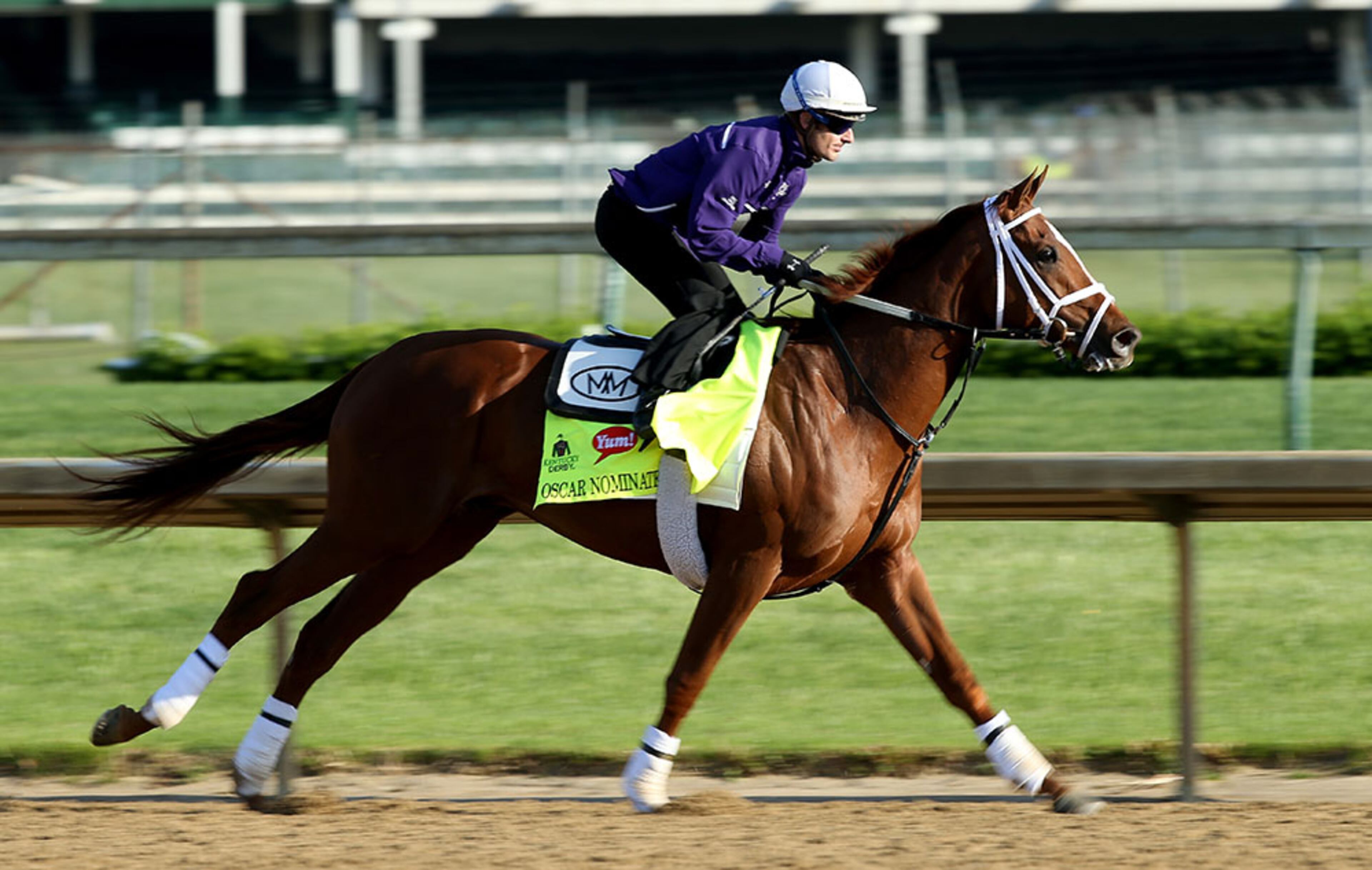 Oscar Nominated, with 50-1 odds to win, runs on the track during morning training for the 2016 Kentucky Derby at Churchill Downs.