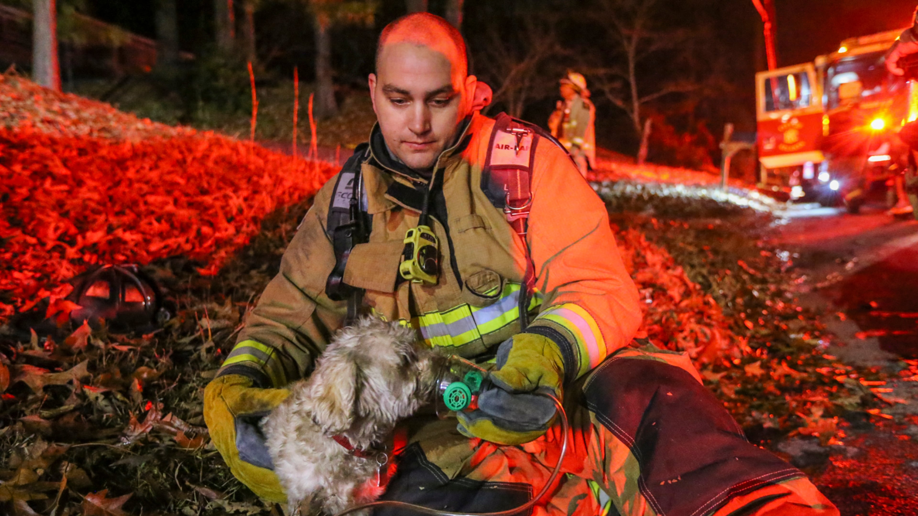 December 20, 2016 Atlanta: Atlanta firefighter, Andrew Morgan of Truck 1 gives oxygen to a dog rescued from a burning house after Atlanta firefighters rescued a man and the dog from the house early Tuesday, Dec. 20, 2016 in northwest Atlanta. Firefighters went to the home in the 2800 block of Baker Ridge Drive and tried to enter through the front door, Atlanta fire Capt. Kelen Evans told The Atlanta Journal-Constitution. A lieutenant went to the back of the home and found the man near a door. "She alerted us," Evans said. "We got the door open and pulled him out." Emergency workers administered CPR. The man's condition was not known. "But he was breathing when we brought him out," Evans said. "That's about all I can tell you." The blaze damaged a front room, Atlanta fire battalion Chief Darrel Mason said. "We have fire investigators on the scene now, so we can't give any indication of what might have caused the issue," Mason said. No other details were released. JOHN SPINK /JSPINK@AJC.COM