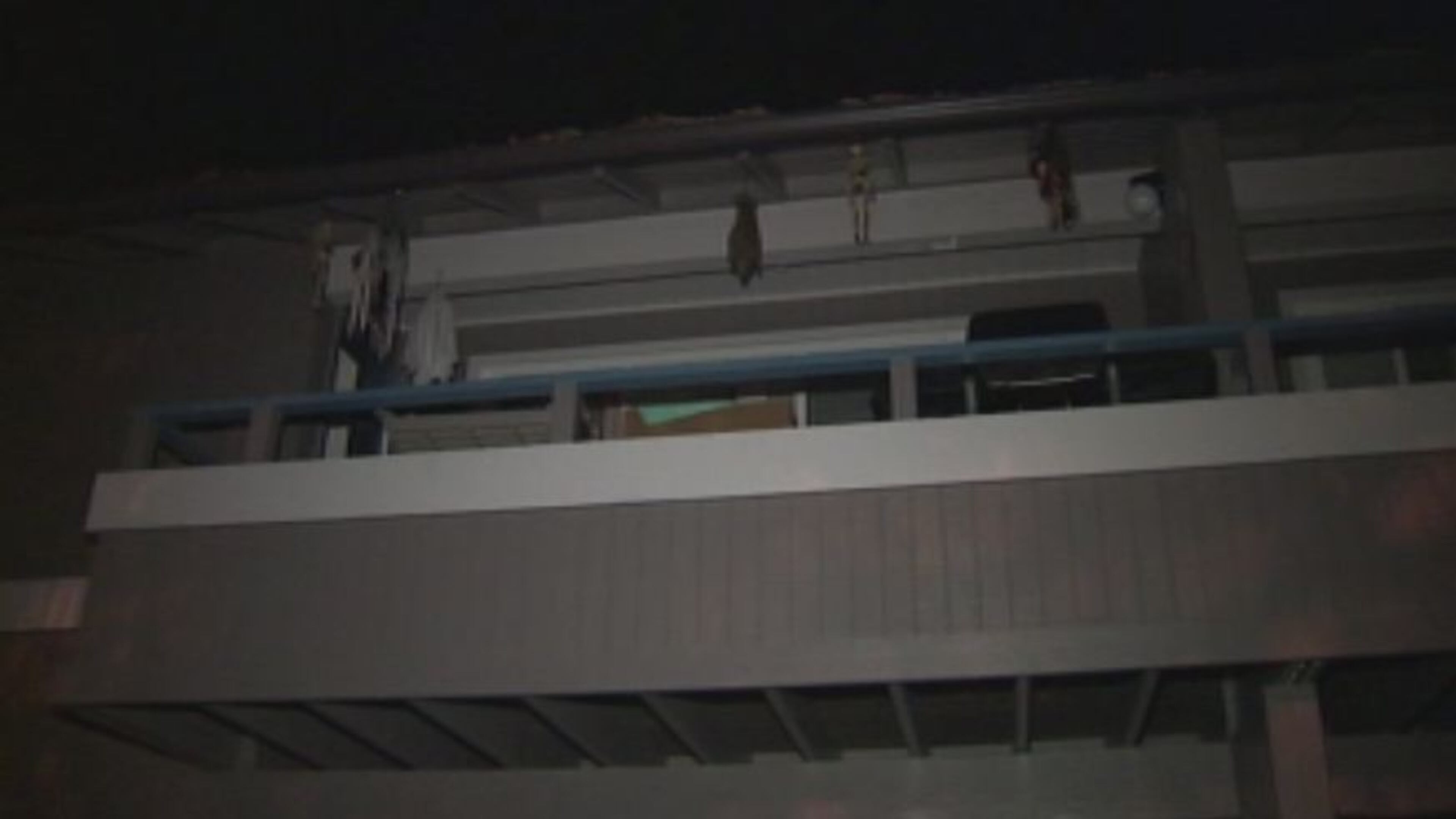 The woman now faces charges after alleged threats.