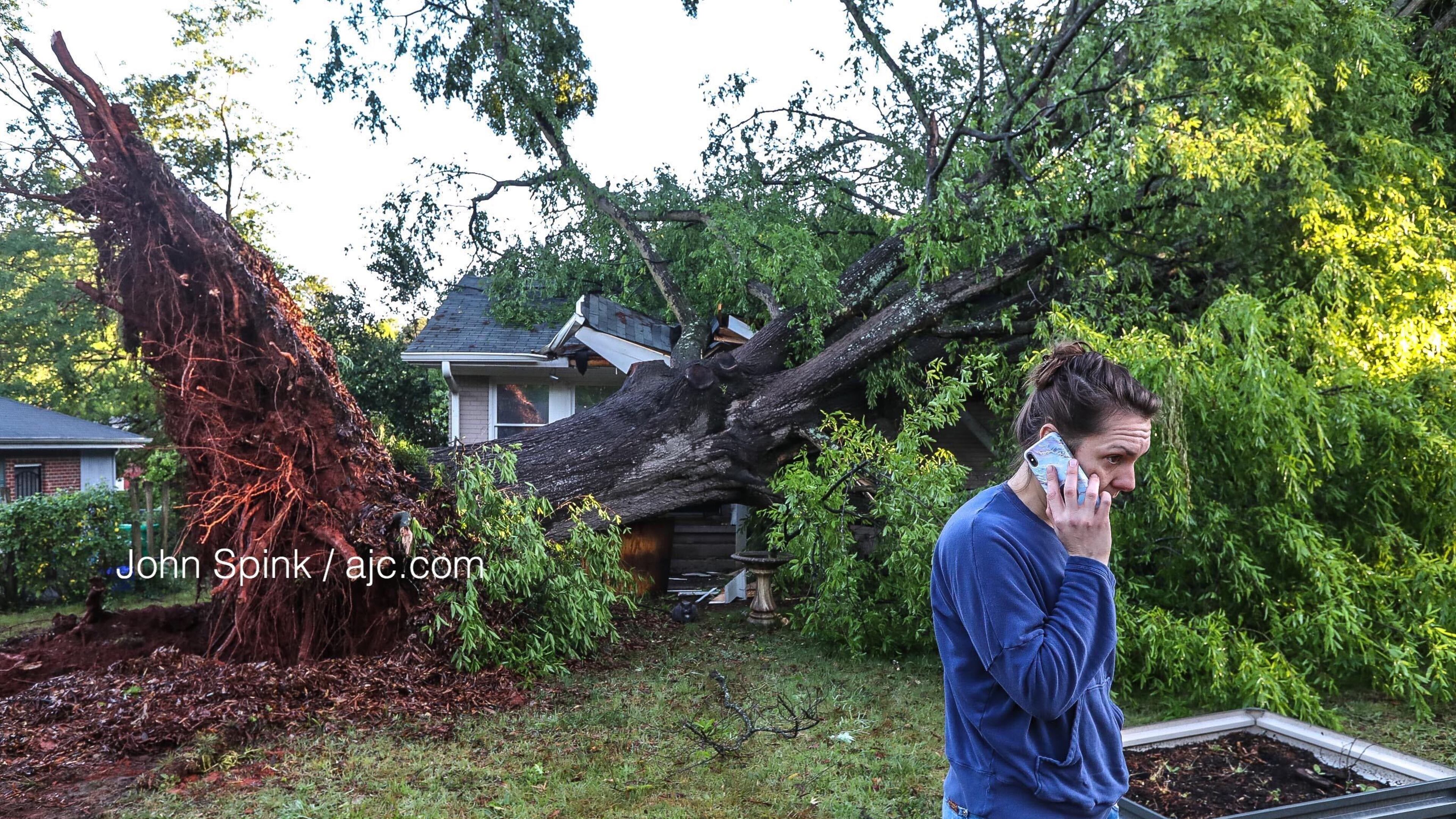 A 100-year-old oak tree was brought down Wednesday night by a microburst, officials told the Hedges family.
