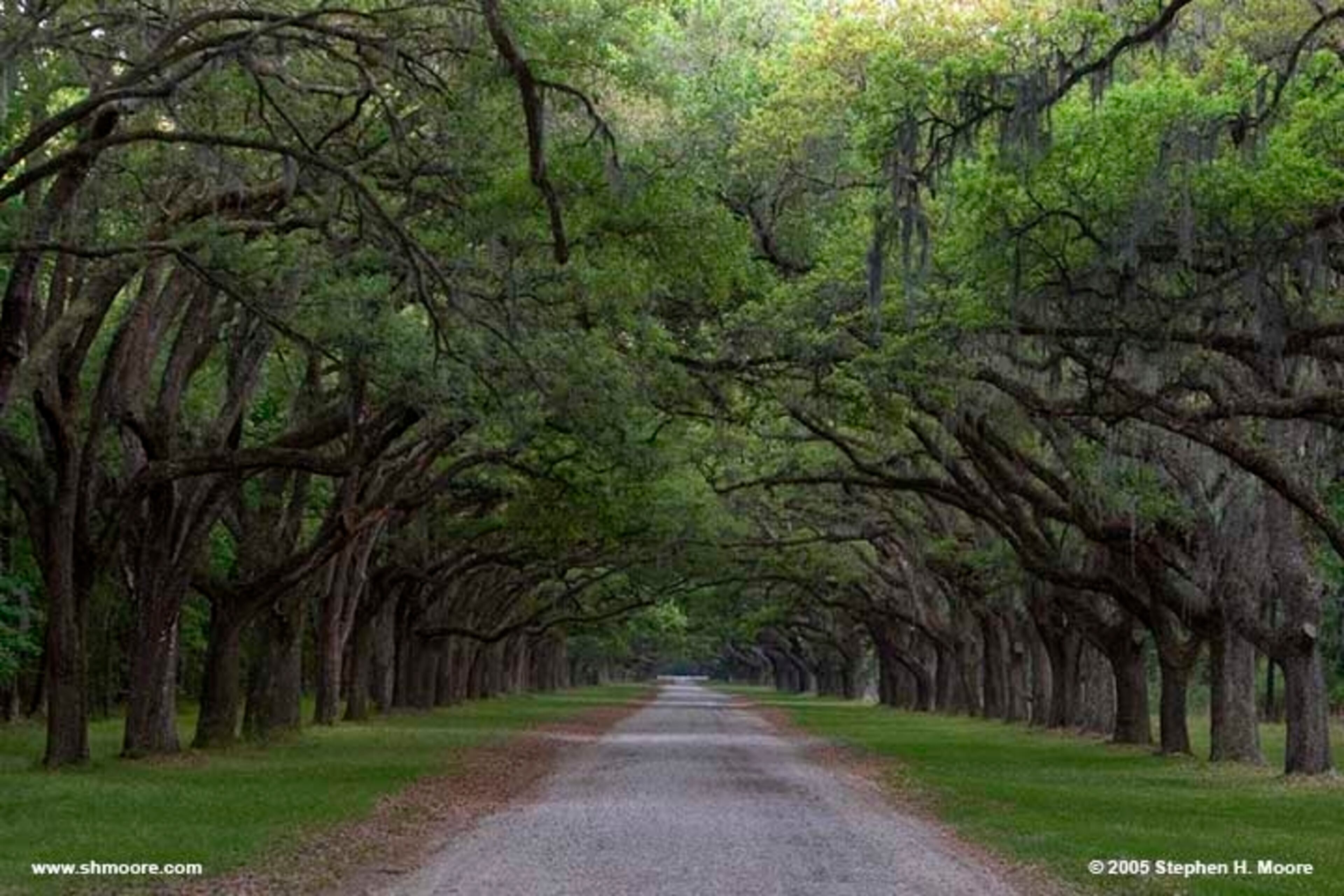 Amicalola Falls (Georgia)