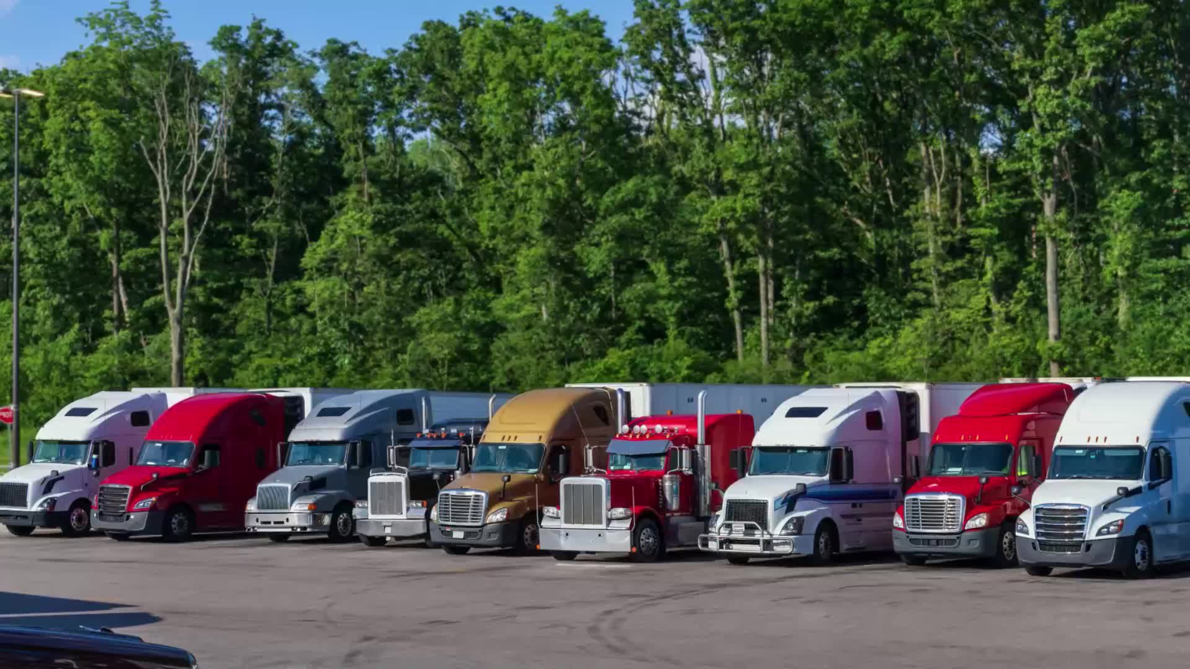 A man was crushed to death at Cottrell in Gainesville after getting his foot stuck under a semi-truck's wheel, Hall County officials said.