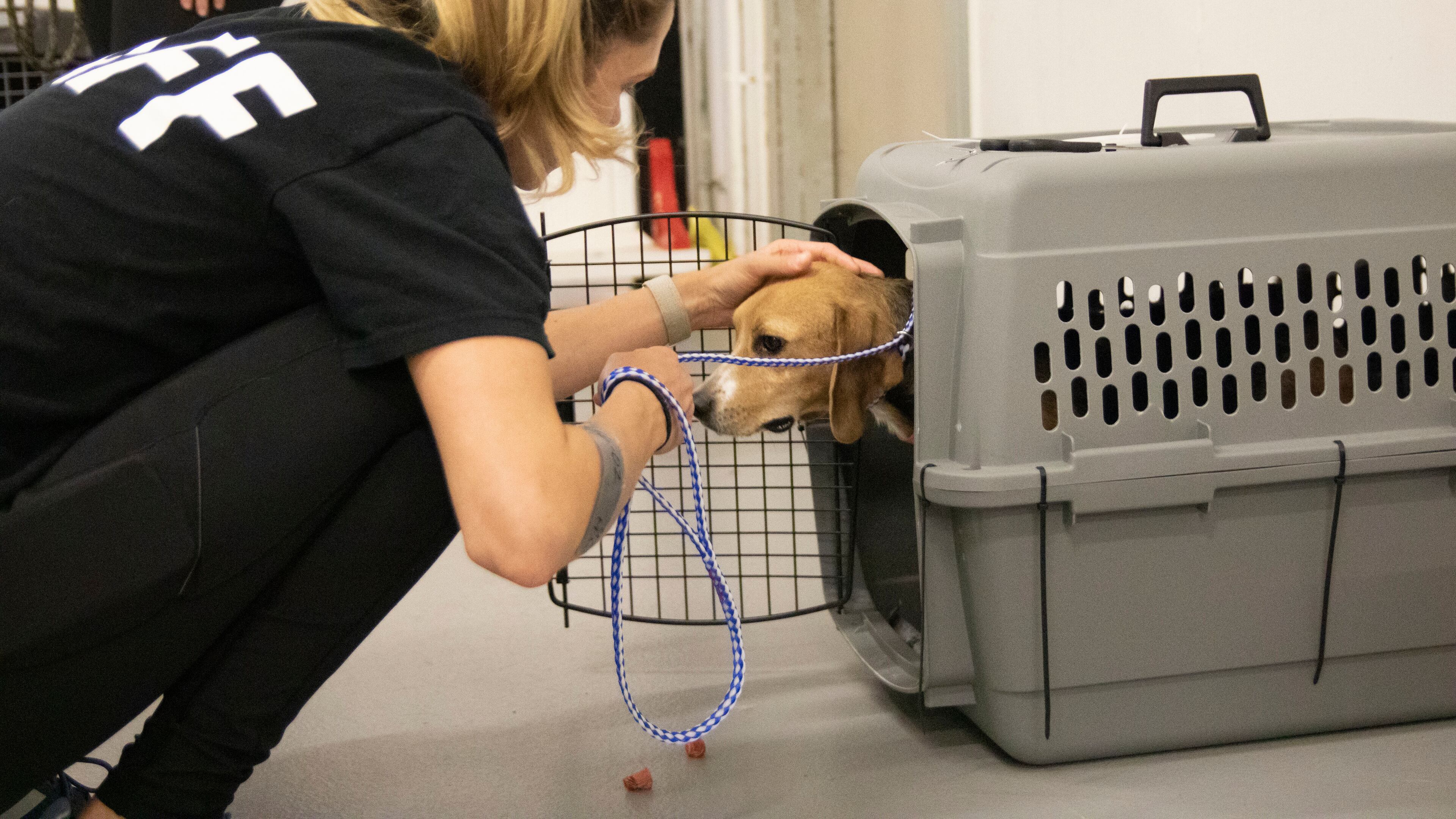 The Atlanta Humane Society received a $2.5 million grant from the Arthur M. Blank Family Foundation to improve the protection of animals across all Georgia counties.