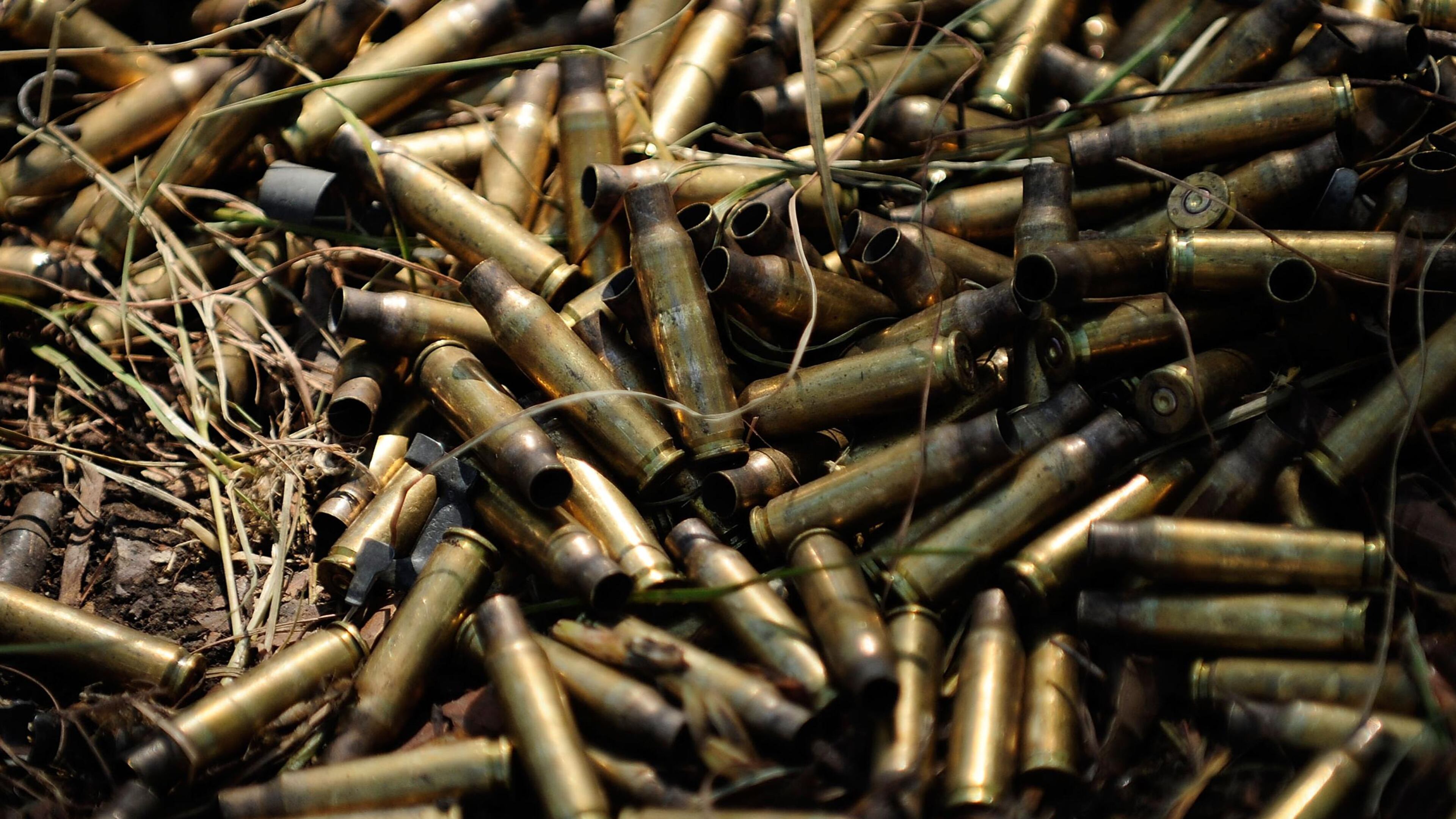 A man shot some rounds of ammunition into a tree in his backyard, police said.