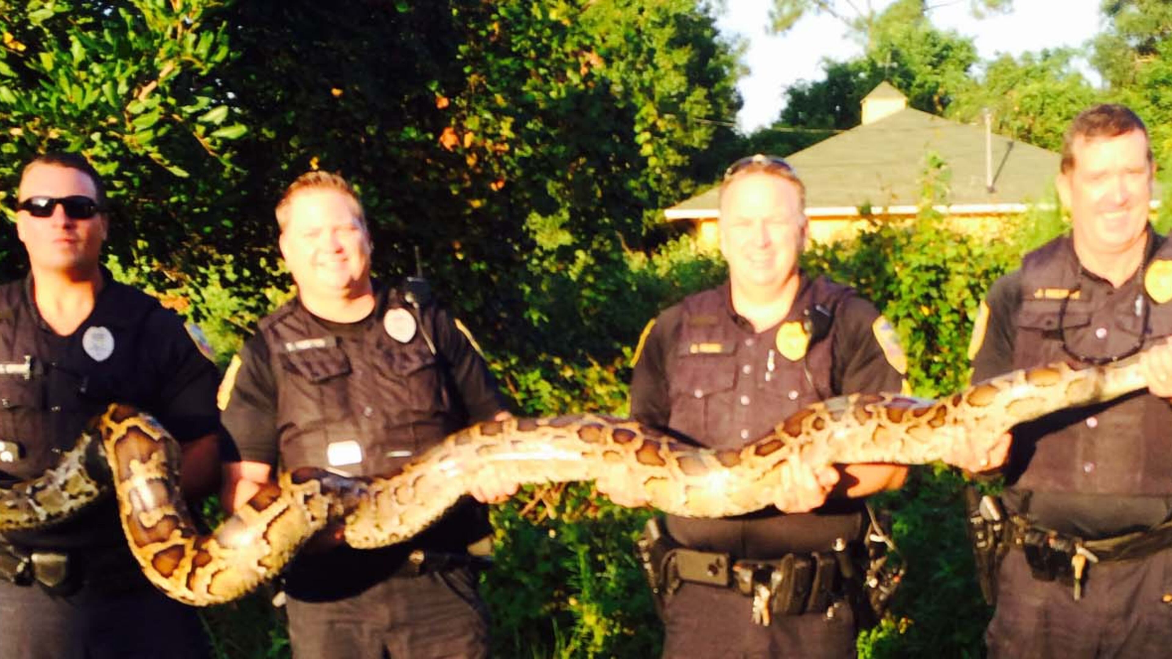 Officers hold the 12-foot python. (Port St. Lucie Police Department)