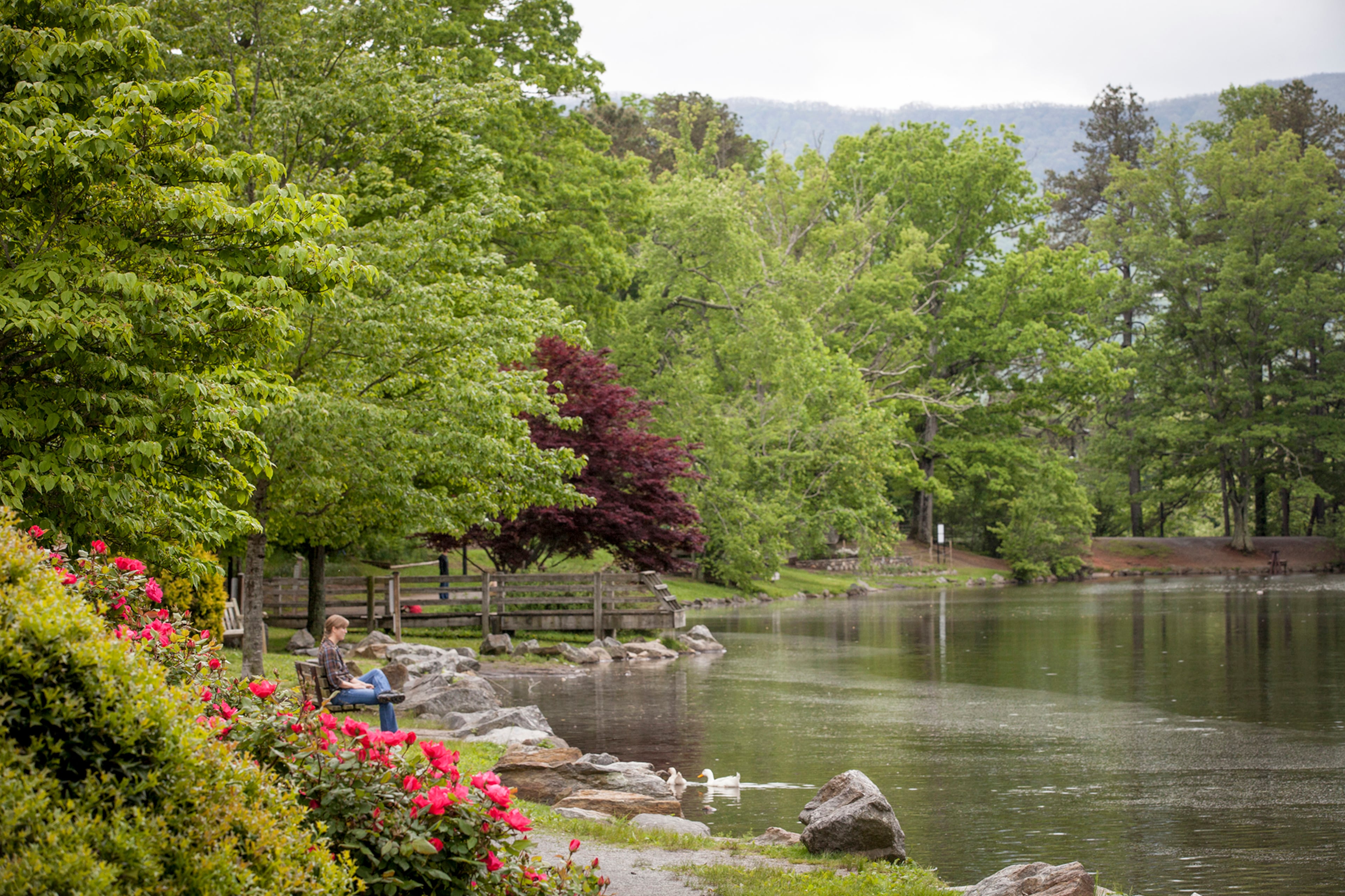 Lake Tomahawk Park is a respite of outdoor activities in the middle of downtown Black Mountain.
(Courtesy of Explore Asheville)