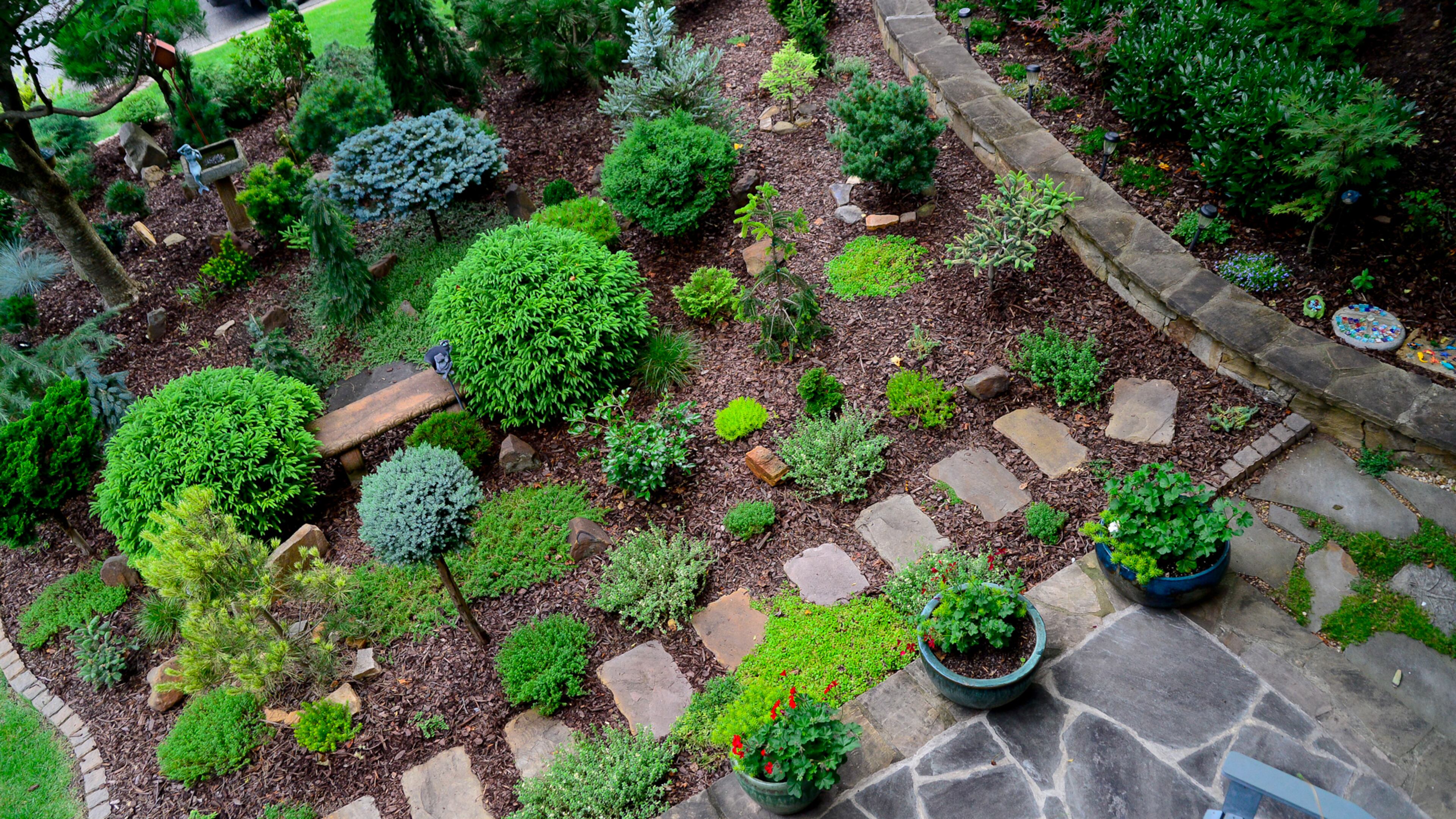 Numerous conifers of various origins were brought into the landscape design, which features Japanese black, white and red pines, Scots pine, Korean fir, Spanish fir, Serbian spruce, Oriental spruce and Norway spruce. The Roswell property also has a small Japanese garden and a hidden garden.