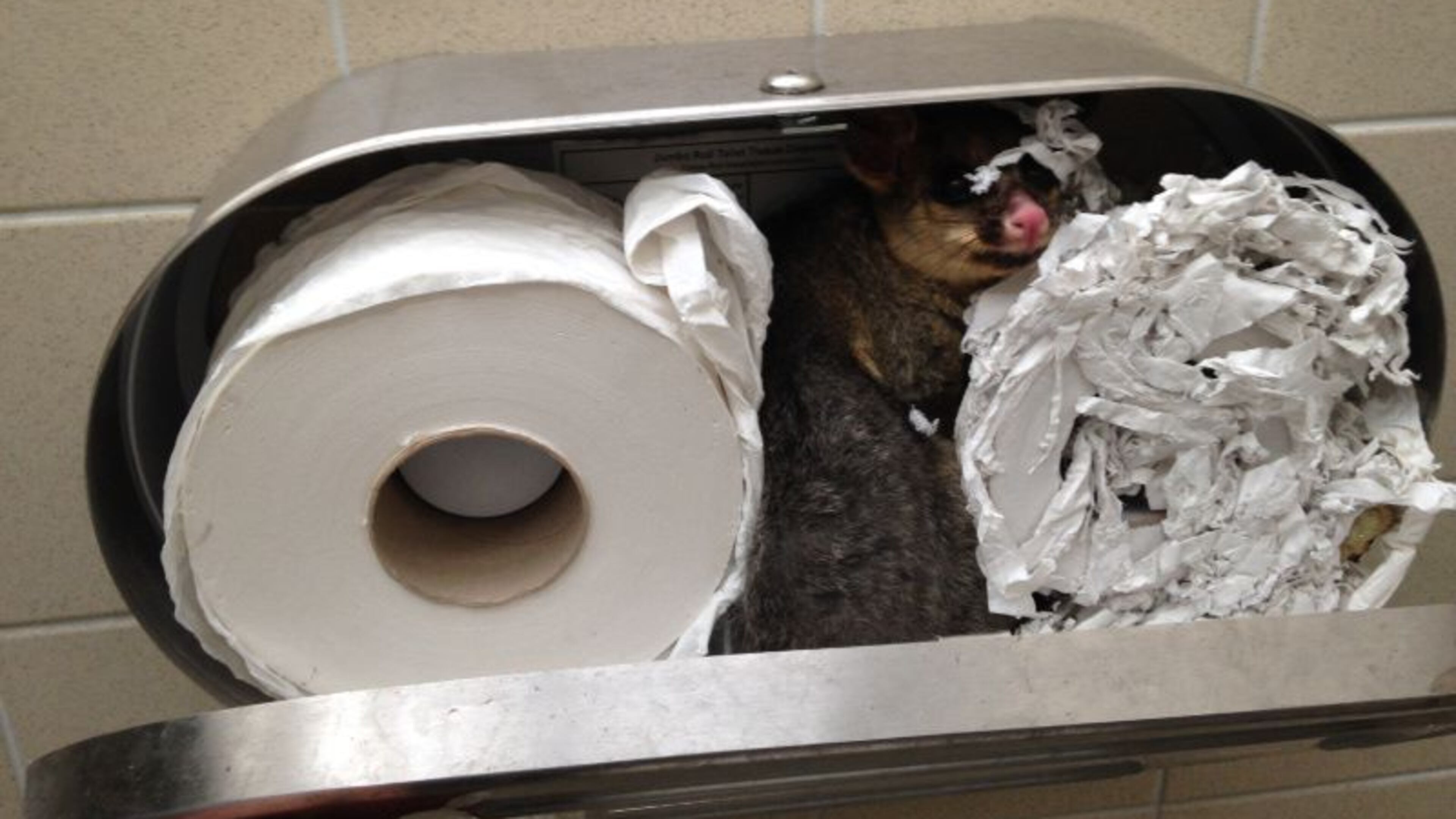 ParksVictoria/Facebook