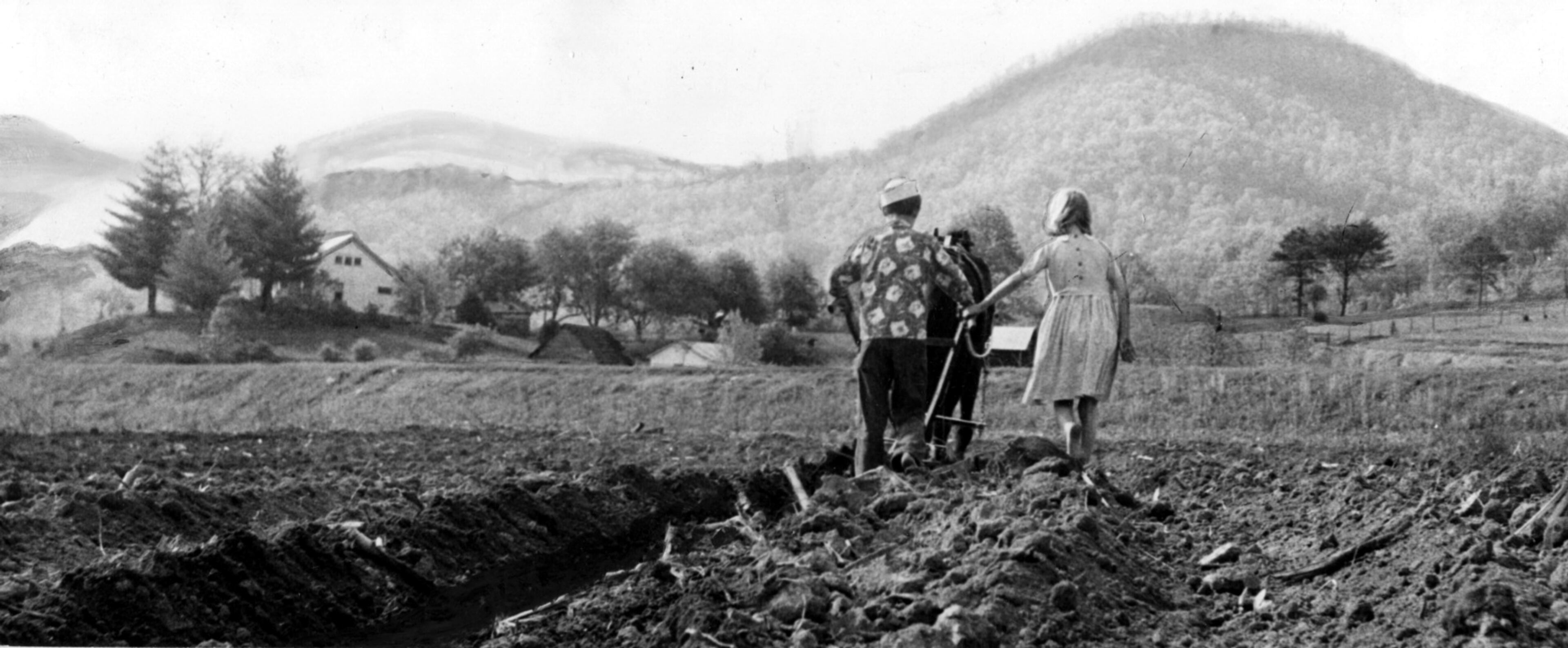 Young Truman Owenby and his sister Ann plow bean field near Hiawassee. They work after school on their father's farm at foot of the Blue Ridge Range.