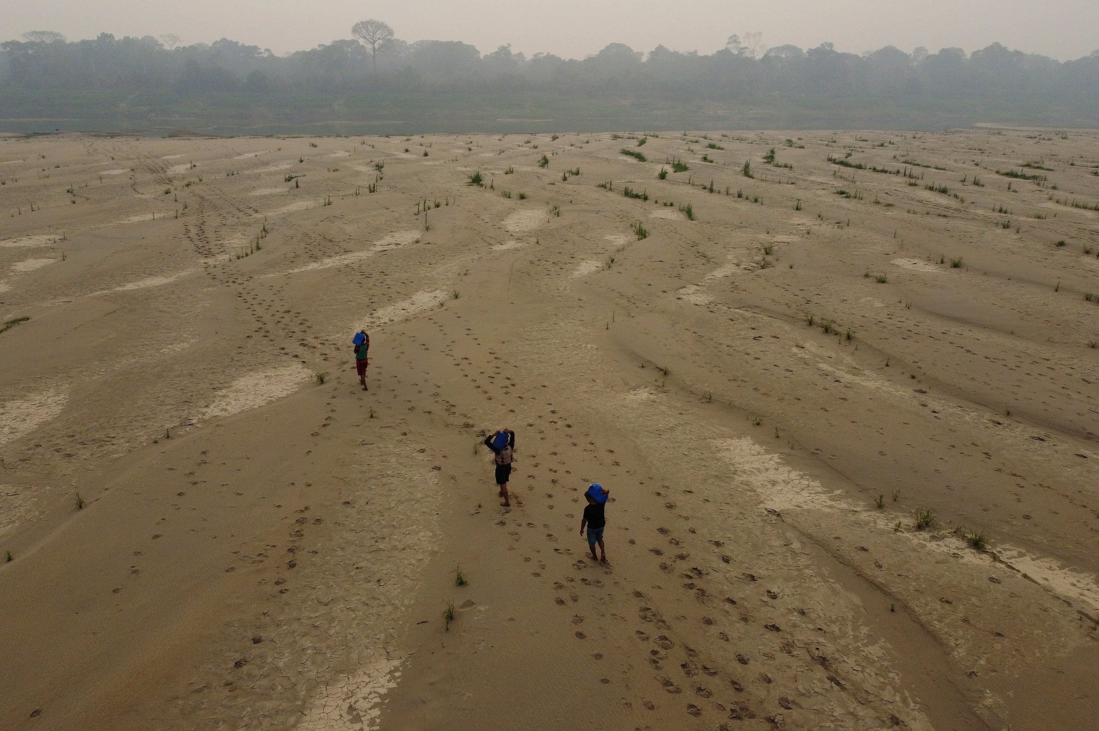 Climate Next Five Years