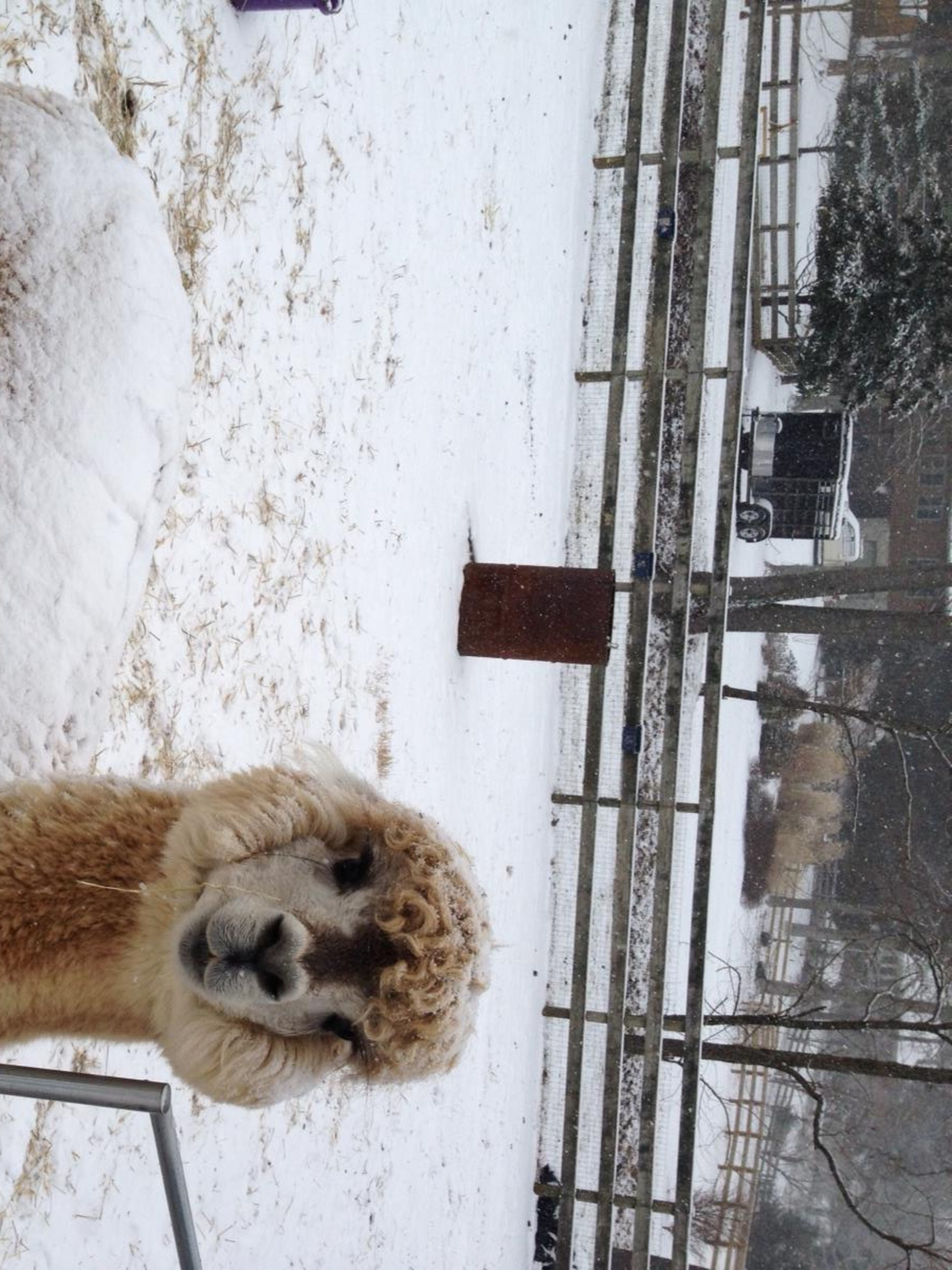 Check out these snow day photos from 1/28/14. Send your photos to pix@wsbtv.com.