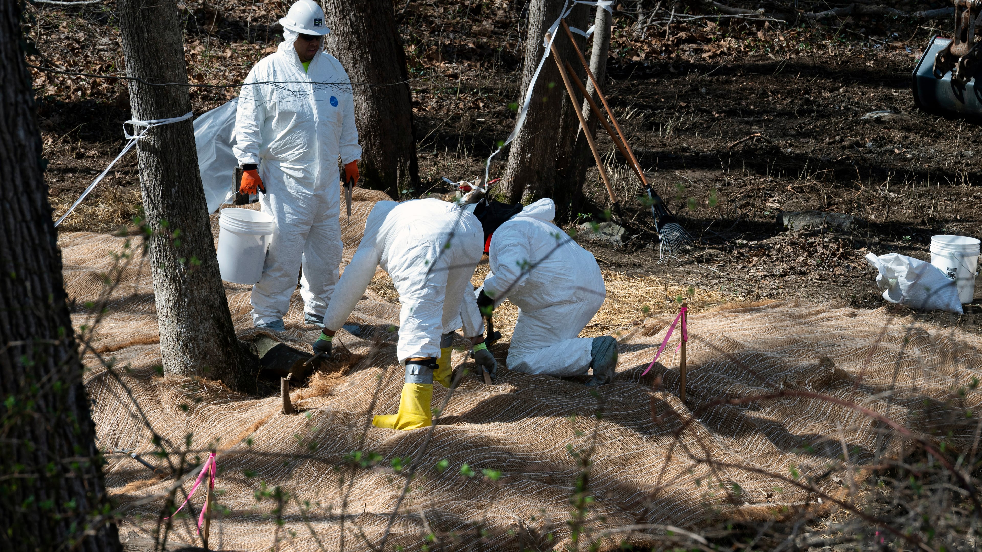 FILE - Workers prepare to take soil samples where raw sewage flowed near the Potomac River in Cabin John, Md., March 14, 2026. (AP Photo/Cliff Owen, File)