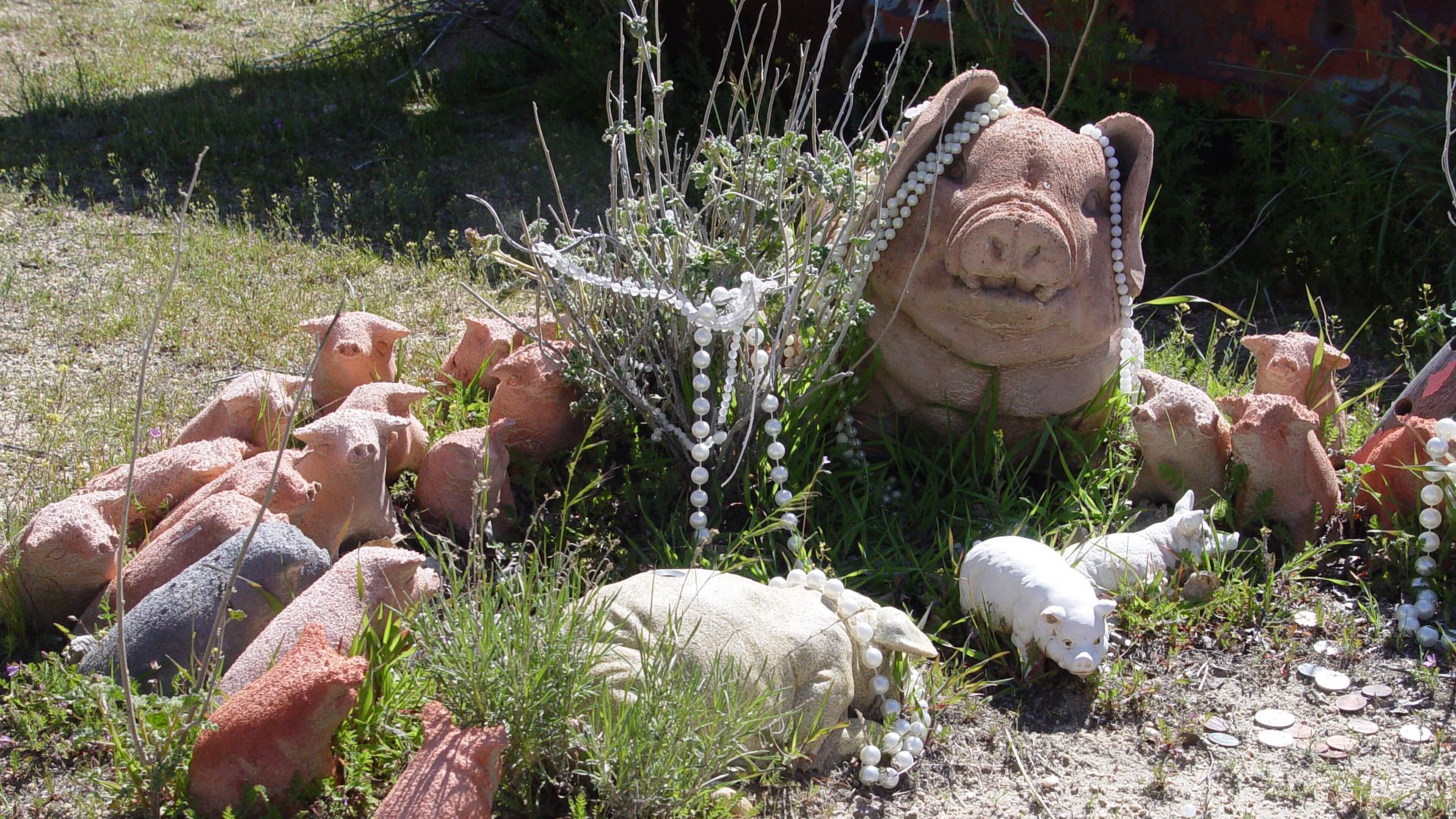 Do not cast pearls before swine, they say, but it works well here. (Handout/TNS)