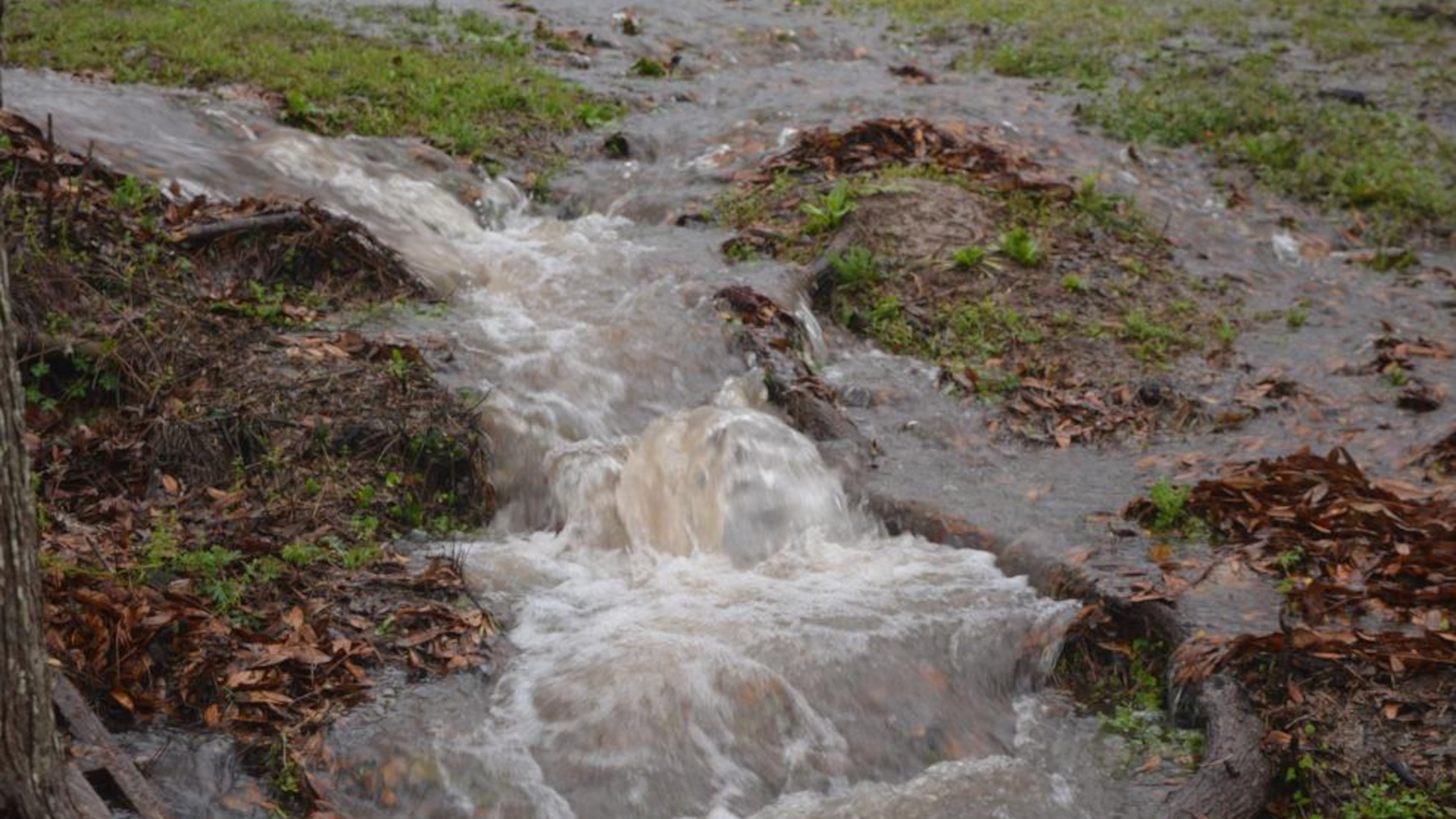 The National Weather Service said southwest Georgia is likely to experience severe weather with heavy rains, high winds and possible tornadoes Monday night through Tuesday afternoon. (FILE PHOTO/Albany Herald)