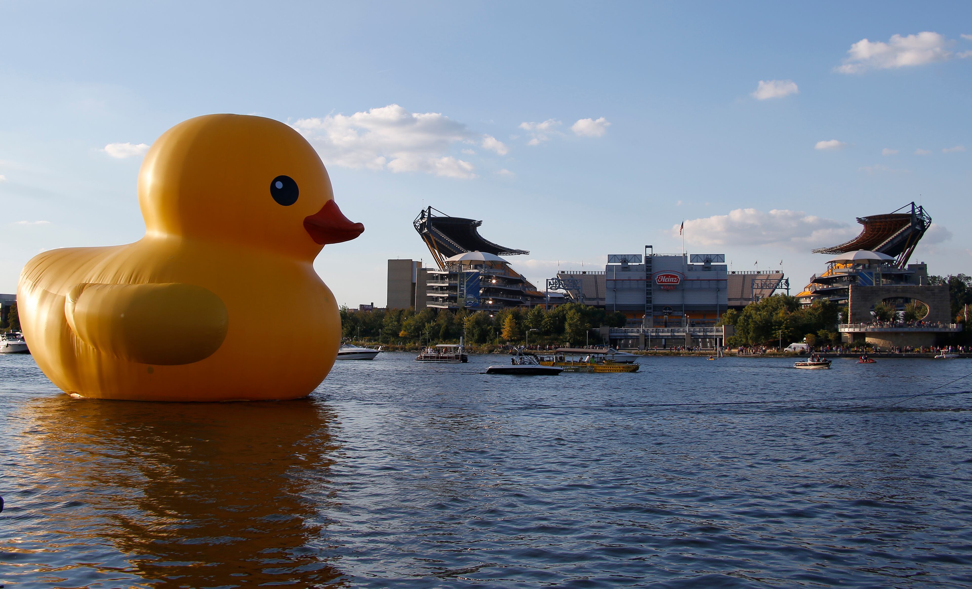 A version of Dutch artist Florentijn Hofman giant "Rubber Duckie" is towed up the Allegheny River past Heinz Field for its debut in Pittsburgh on Friday, Sept. 27, 2013. Pittsburgh's duck is the first "Made-in-the-USA" version of the Dutch artists creation. The ducks arrival kicks off the month-long Pittsburgh International Festival of Firsts, which features theater, dance, music and visual arts from around the world. After the opening night the duck will be moored downtown until Oct. 20, 2013. (AP Photo/Keith Srakocic)