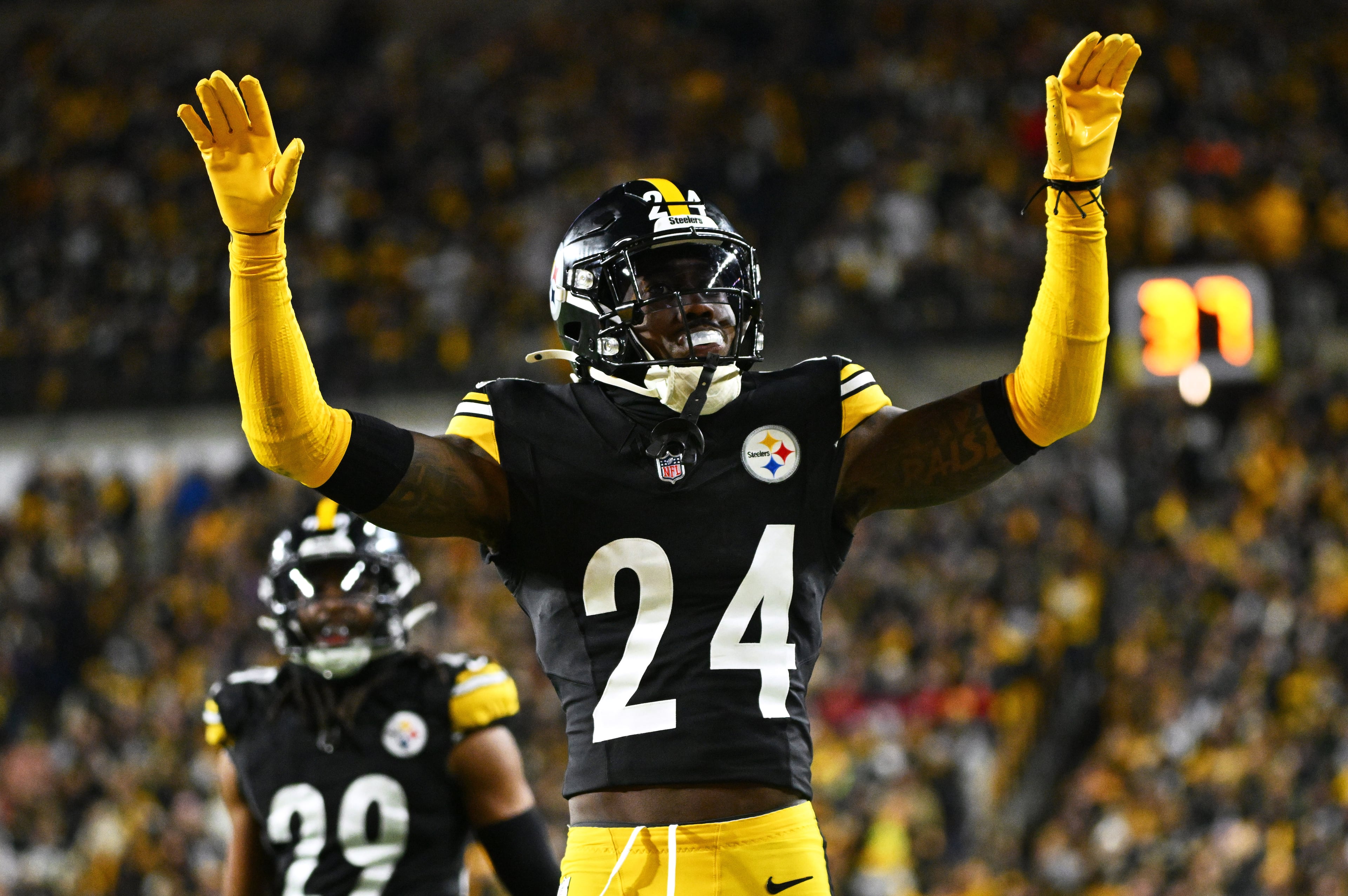 Steelers Porter Football