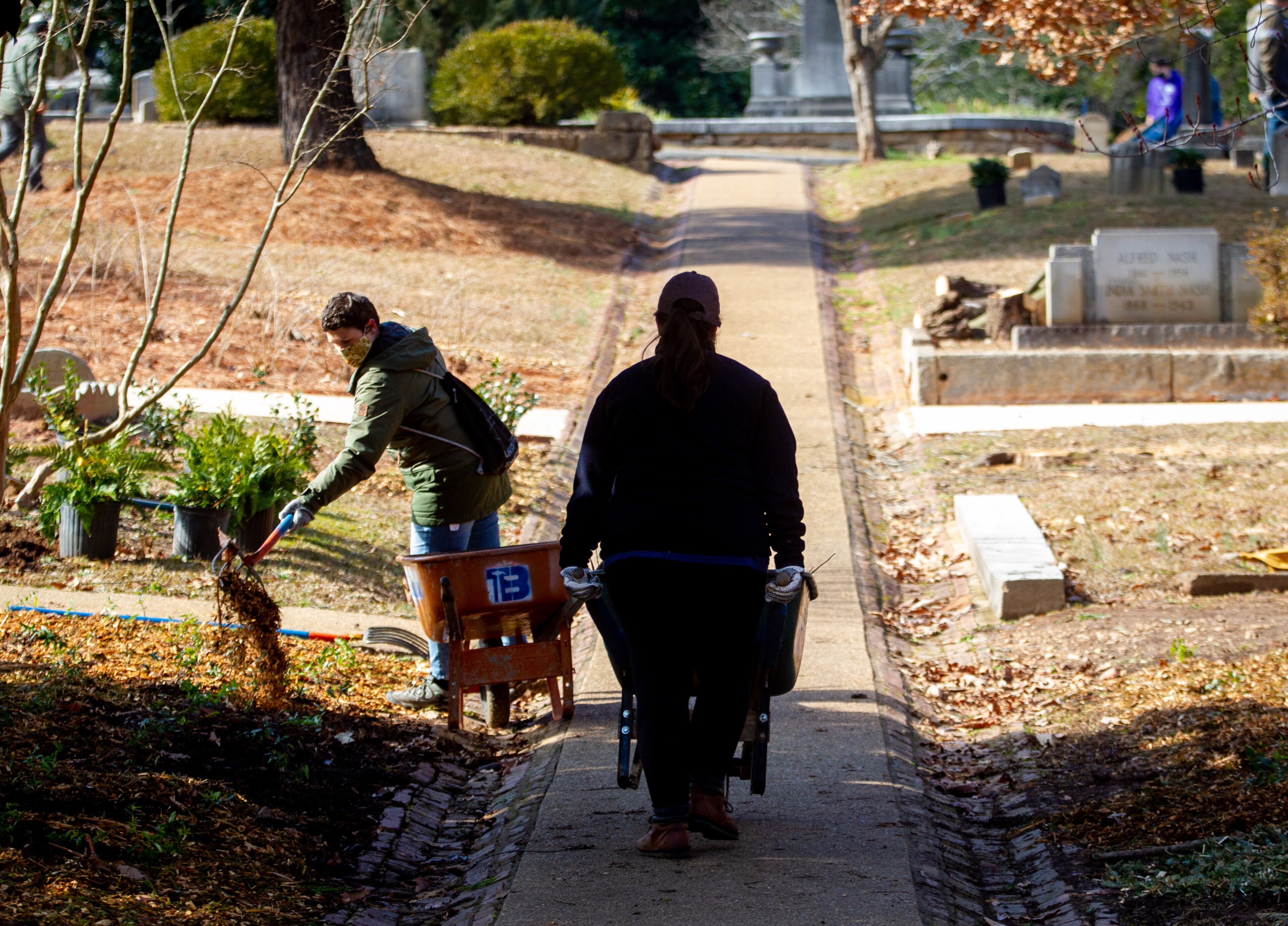 More than 50 volunteers handle plants and help clean up in the historically African American section of Oakland Cemetery on Saturday, January 22, 2022. The event was planned Monday to commemorate the Martin Luther King Jr. National Day of Service but was postponed because of the holiday weekend's winter storm. (Photo by Steve Schaefer for The Atlanta Journal-Constitution)
