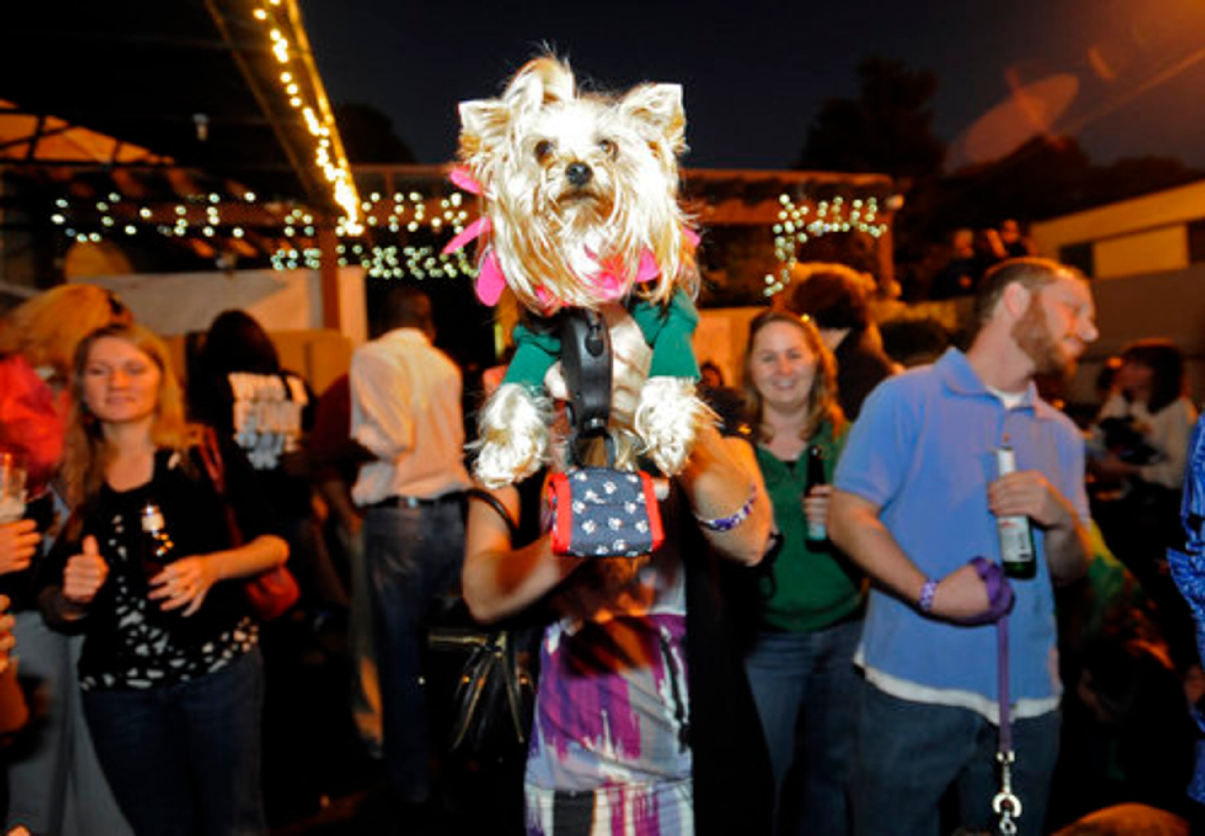 Laura Ellis holds up her dog, Flower, as she celebrates winning the costume contest during 'yappy hour.'