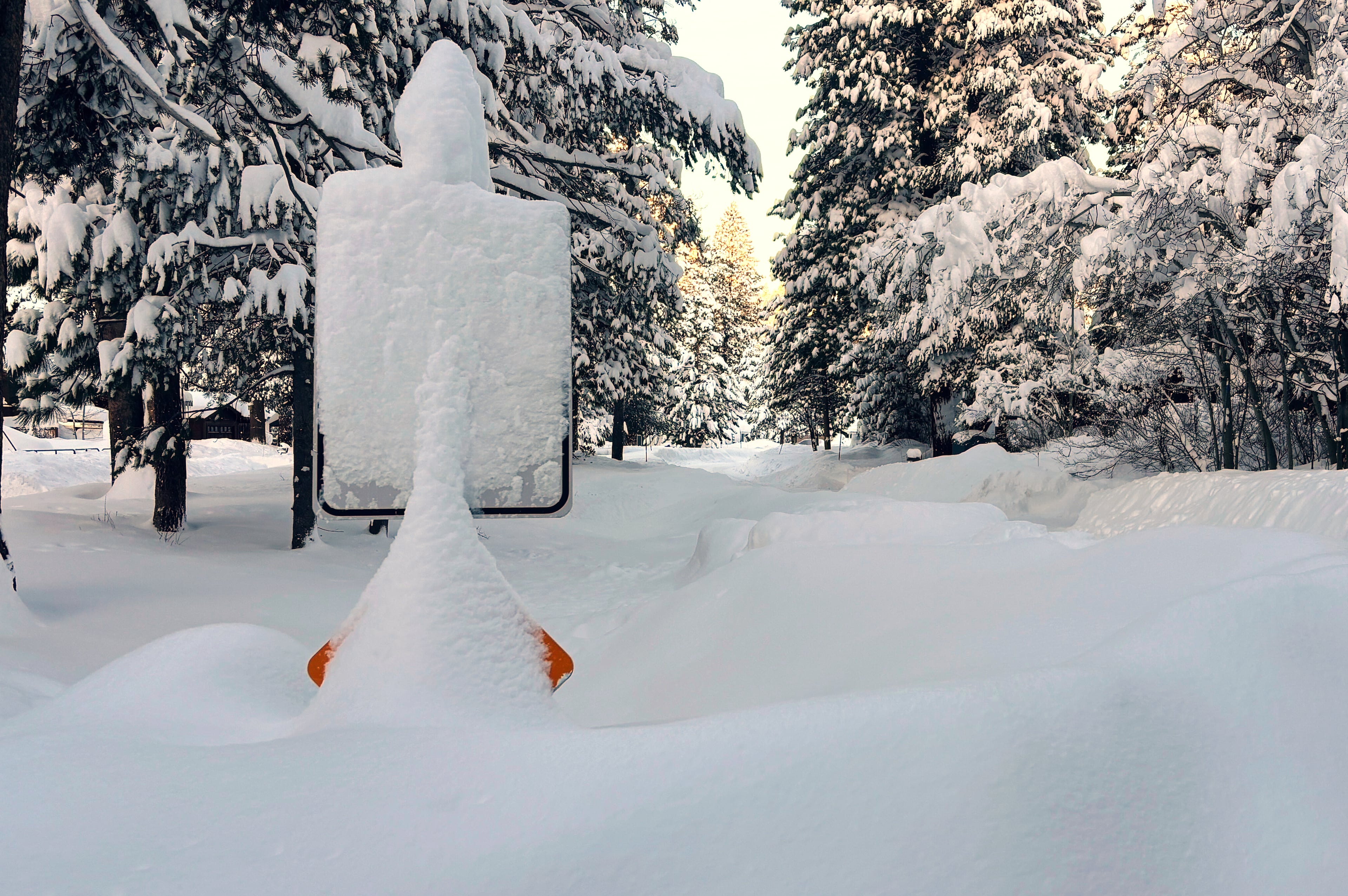 APTOPIX California Avalanche