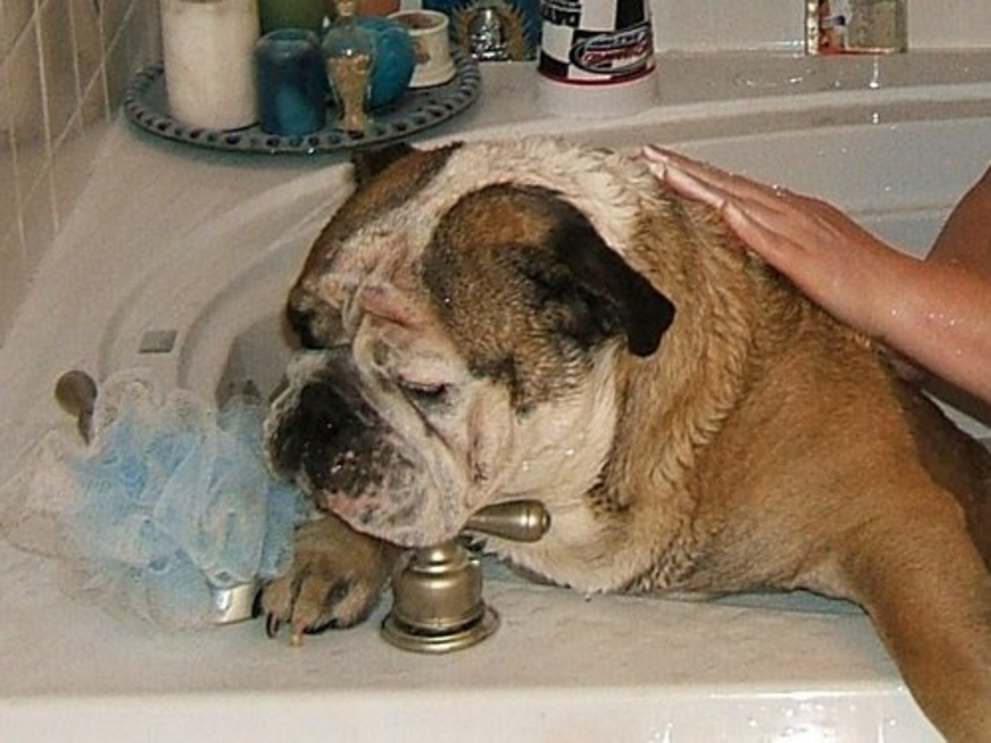 Buddy says he feels clean enough and should be allowed to leave.