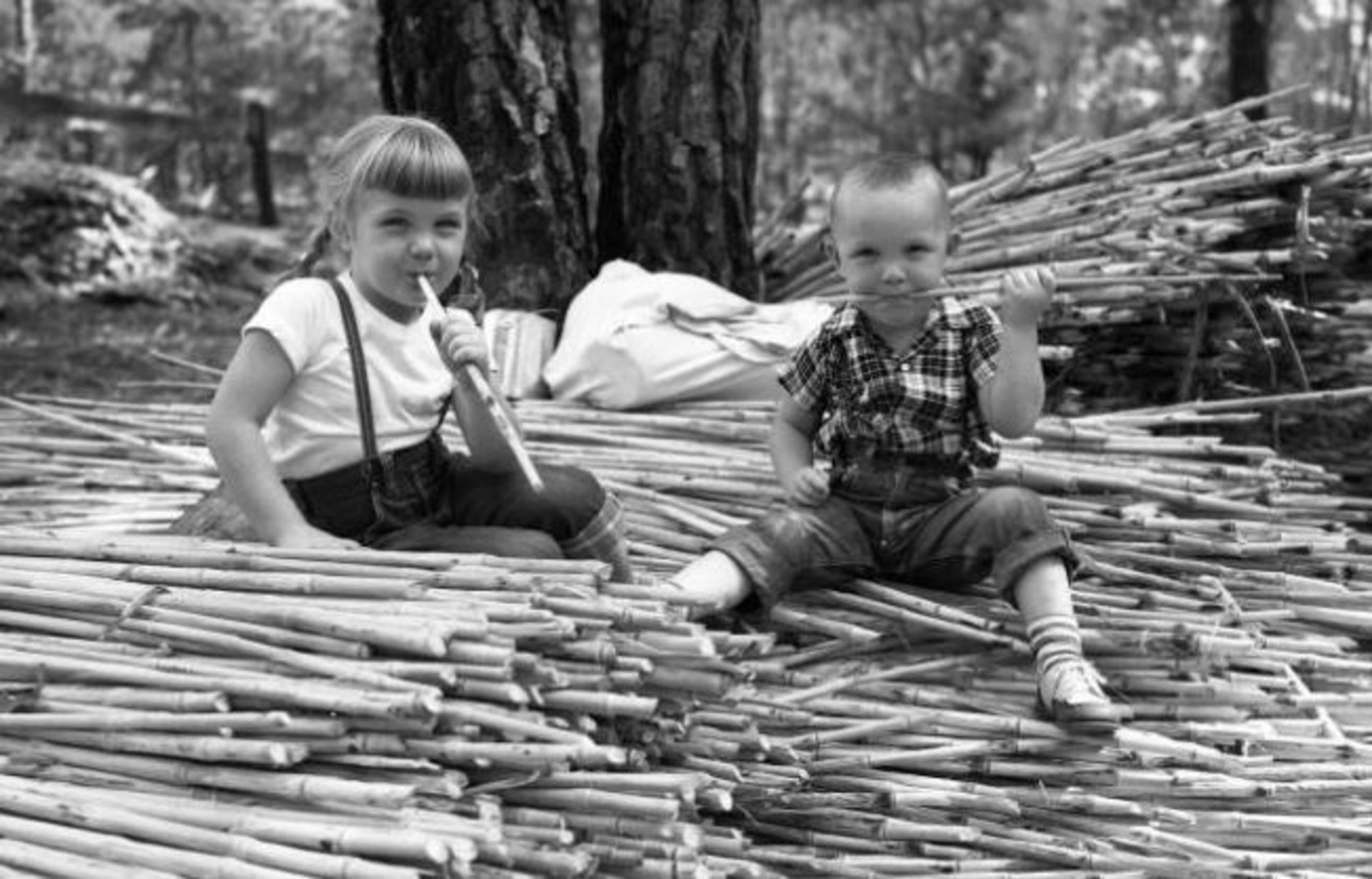 Oct. 1954 -- Children sitting on bundles of sorghum cane at the Hughes Sorghum Syrup Mill in Blairsville. AJC PHOTO ARCHIVES