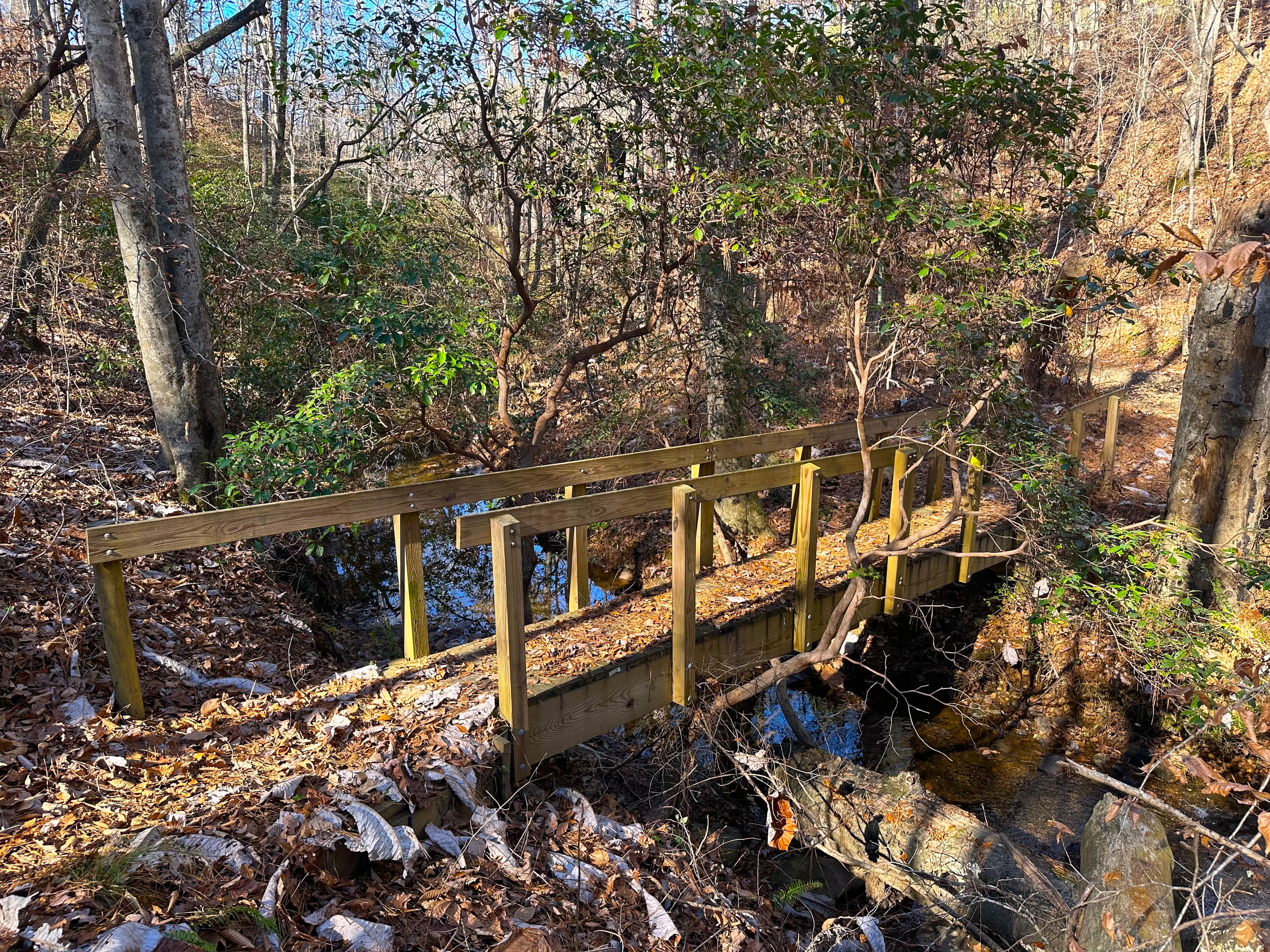 Though only an hour from downtown, these trails along the Etowah River feel like they’re in the Appalachians. (Courtesy of Jonah McDonald)