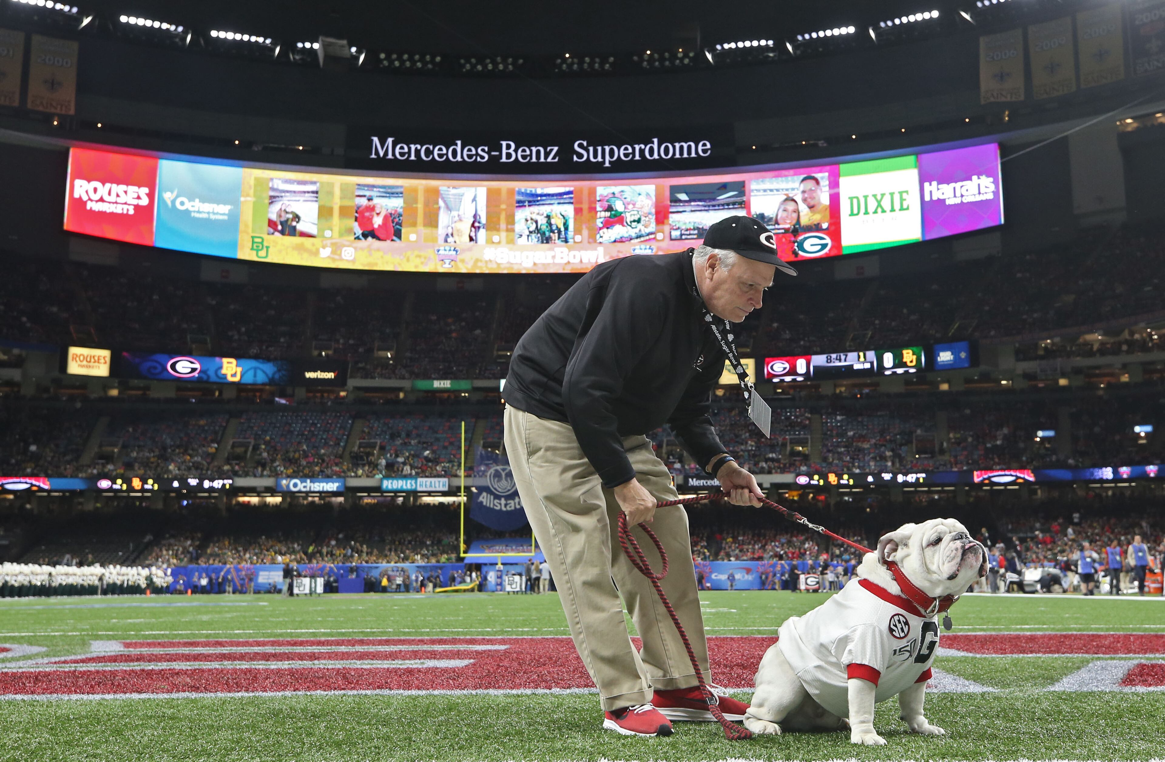 Mascot Uga gets a walk on the field at the Sugar Bowl. Georgia won 26 to 14. Bob Andres bandres@ajc.com