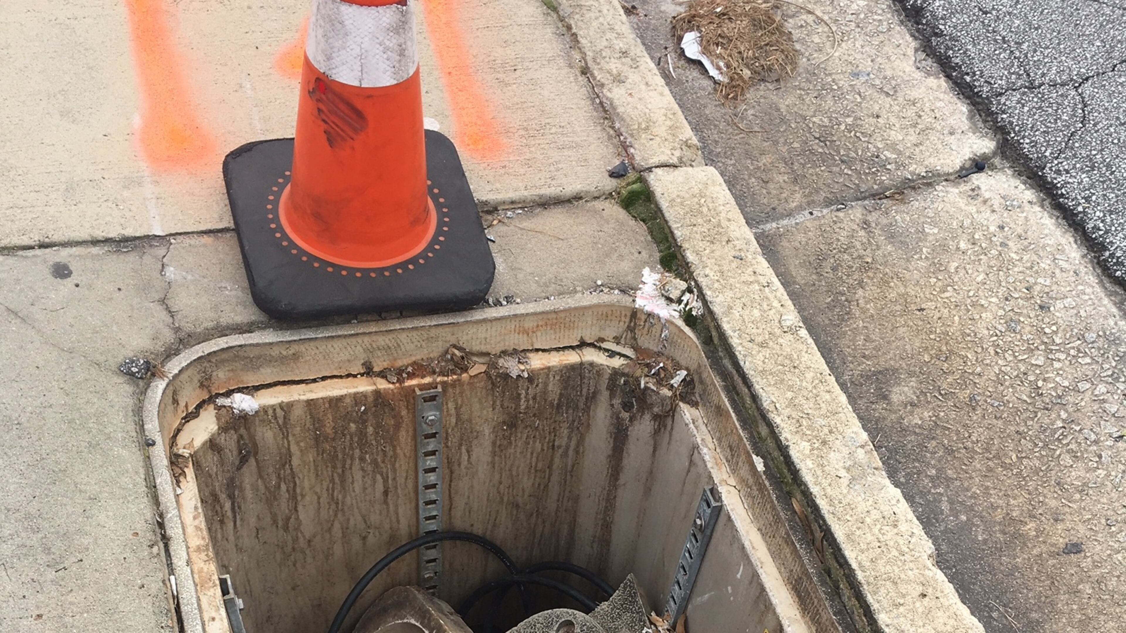 Lynn Spent wants this hole in DeKalb County repaired. Photo/Lynn Spent.