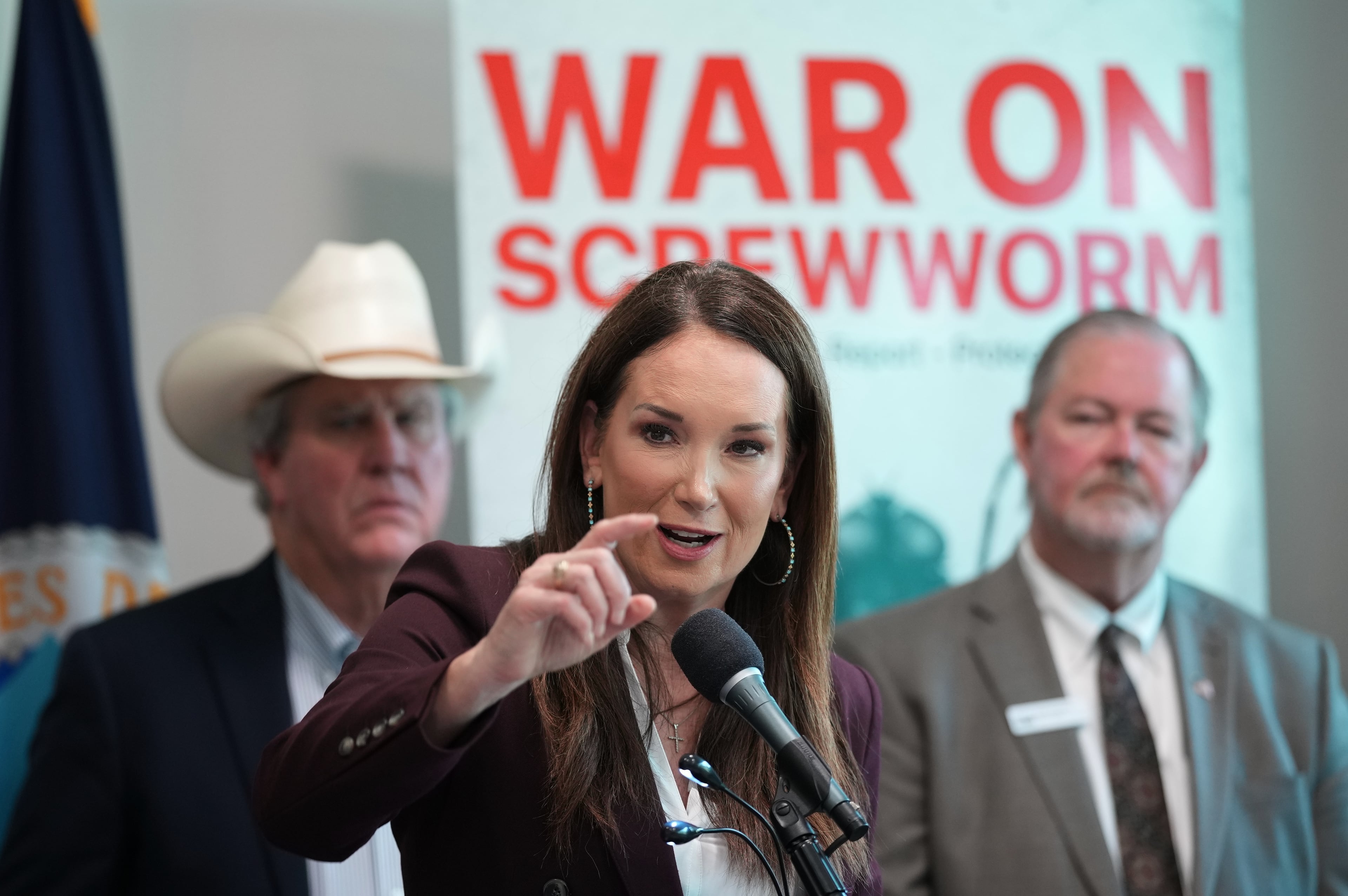 Screwworm Livestock