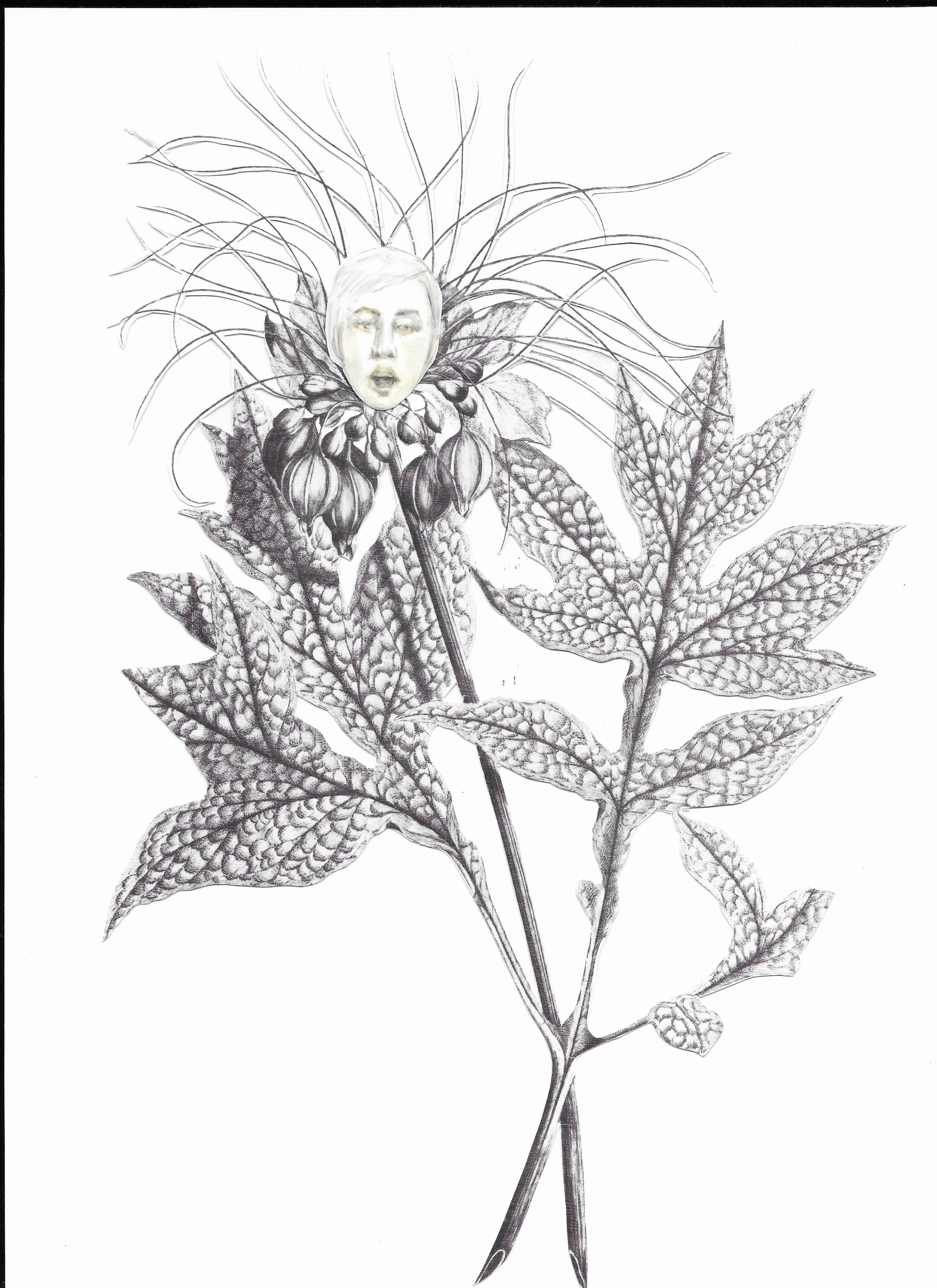 "If flowers could sing #1" (2019), watercolor on botanical reproduction, by Teresa Bramlette Reeves, a participating artist in "She Is Here."
Courtesy of Teresa Bramlette Reeves