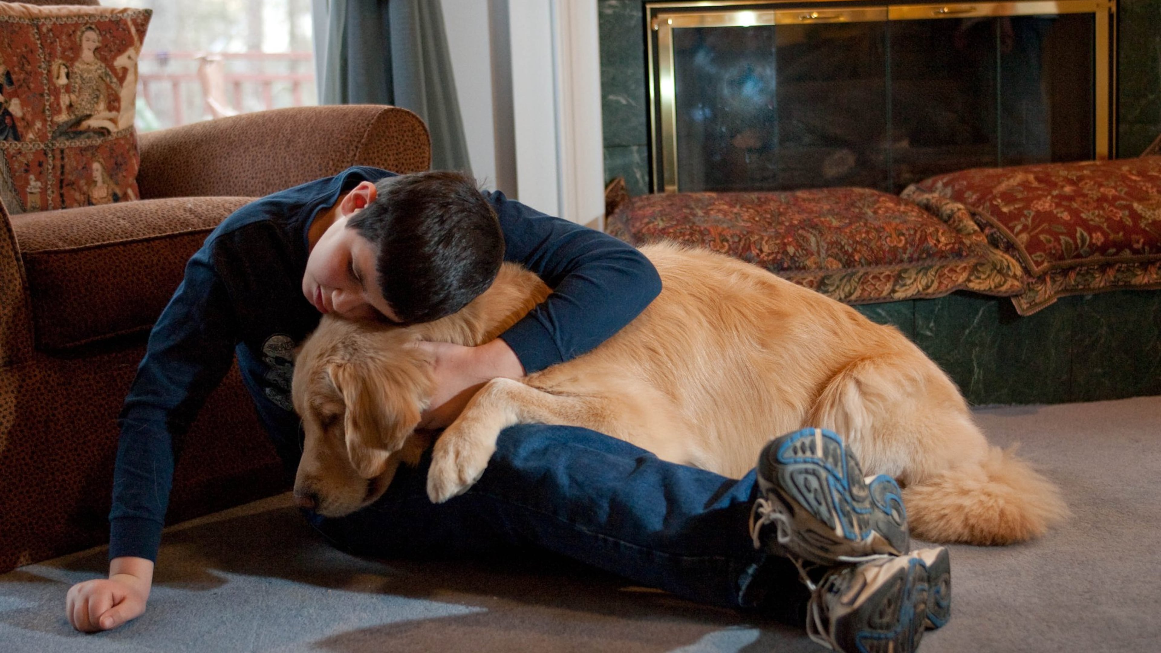 Iyal Winokur and Chancer share a tender moment. The golden retriever helped Iyal, who was born with fetal alcohol syndrome, manage his emotions and returned peace to his family. CONTRIBUTED BY BILL SIMMONS