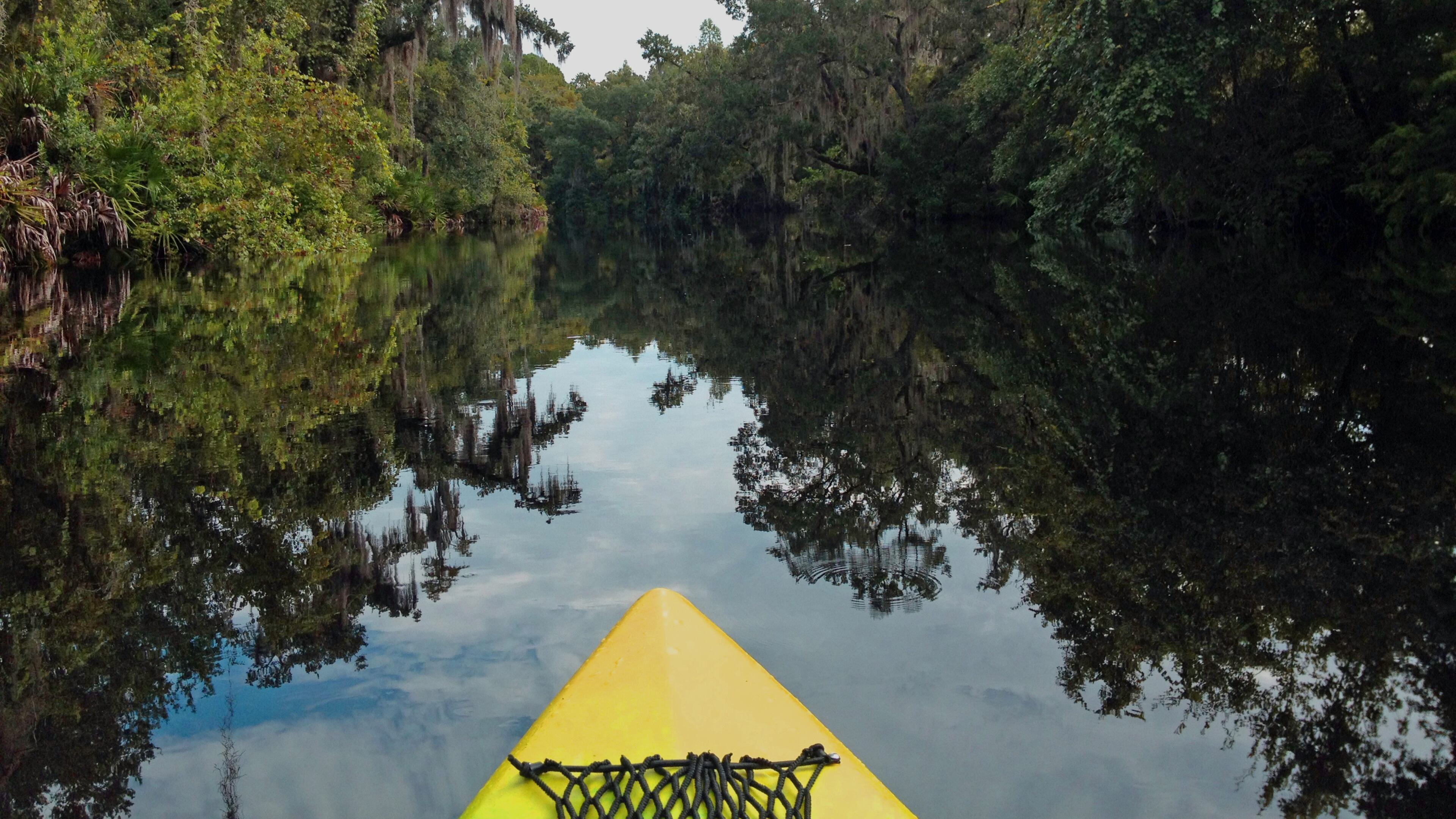 Kayaking on Shingle Creek in Kissimmee near Orlando. (Marjie Lambert/Miami Herald/TNS)