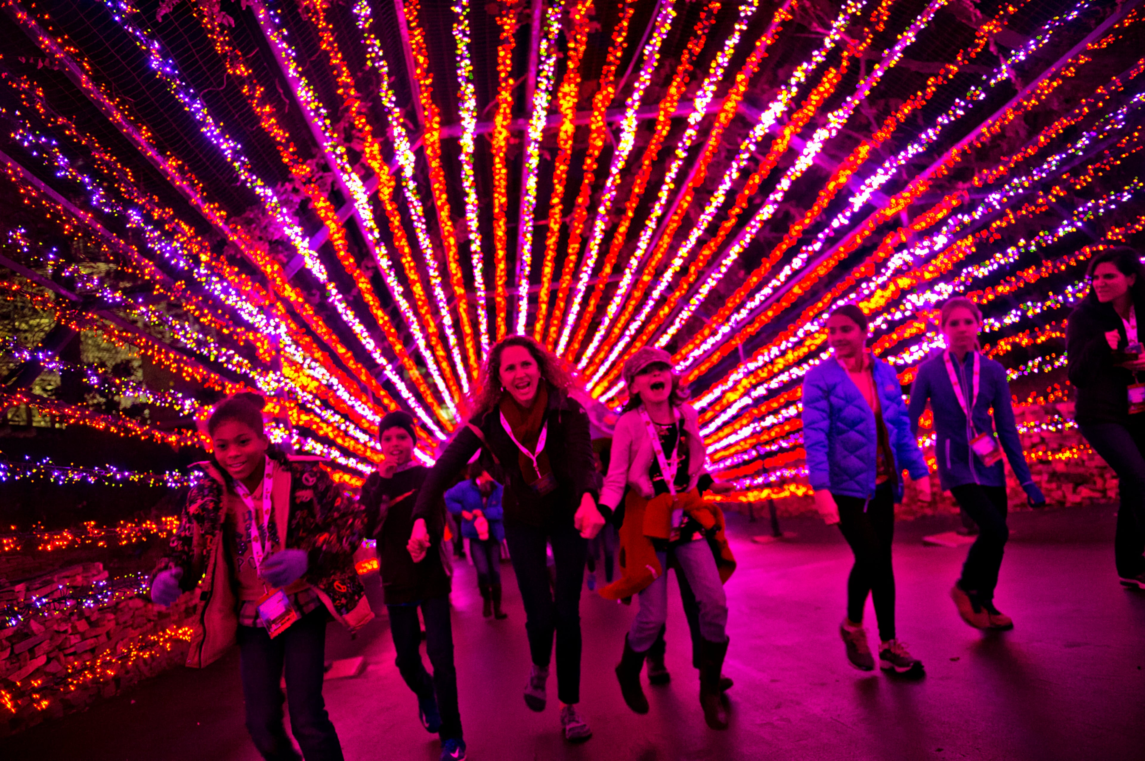 Six Flags lights