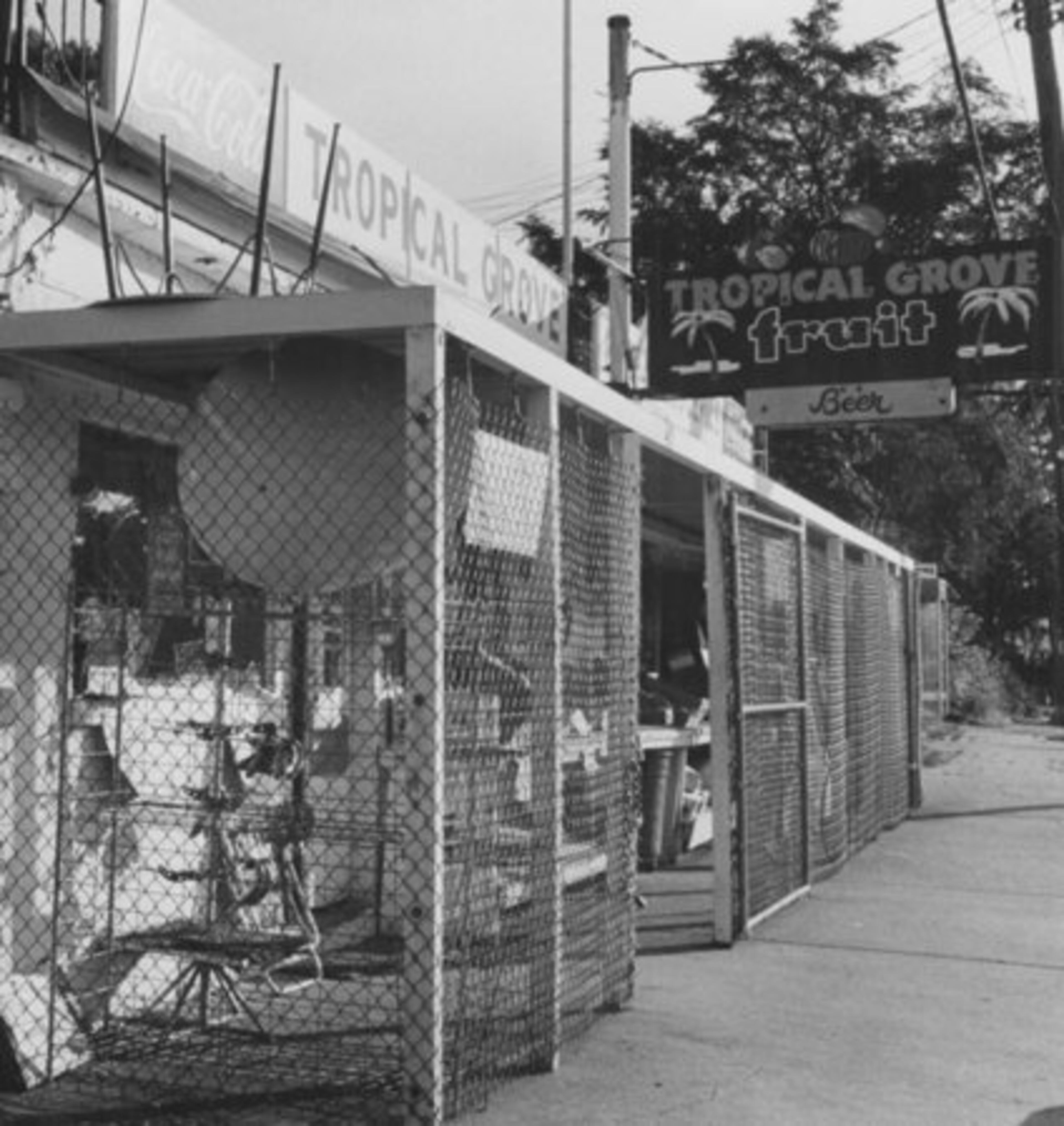 The Tropical Grove Fruit Stand stood at 421 Ponce de Leon Avenue in 1979.