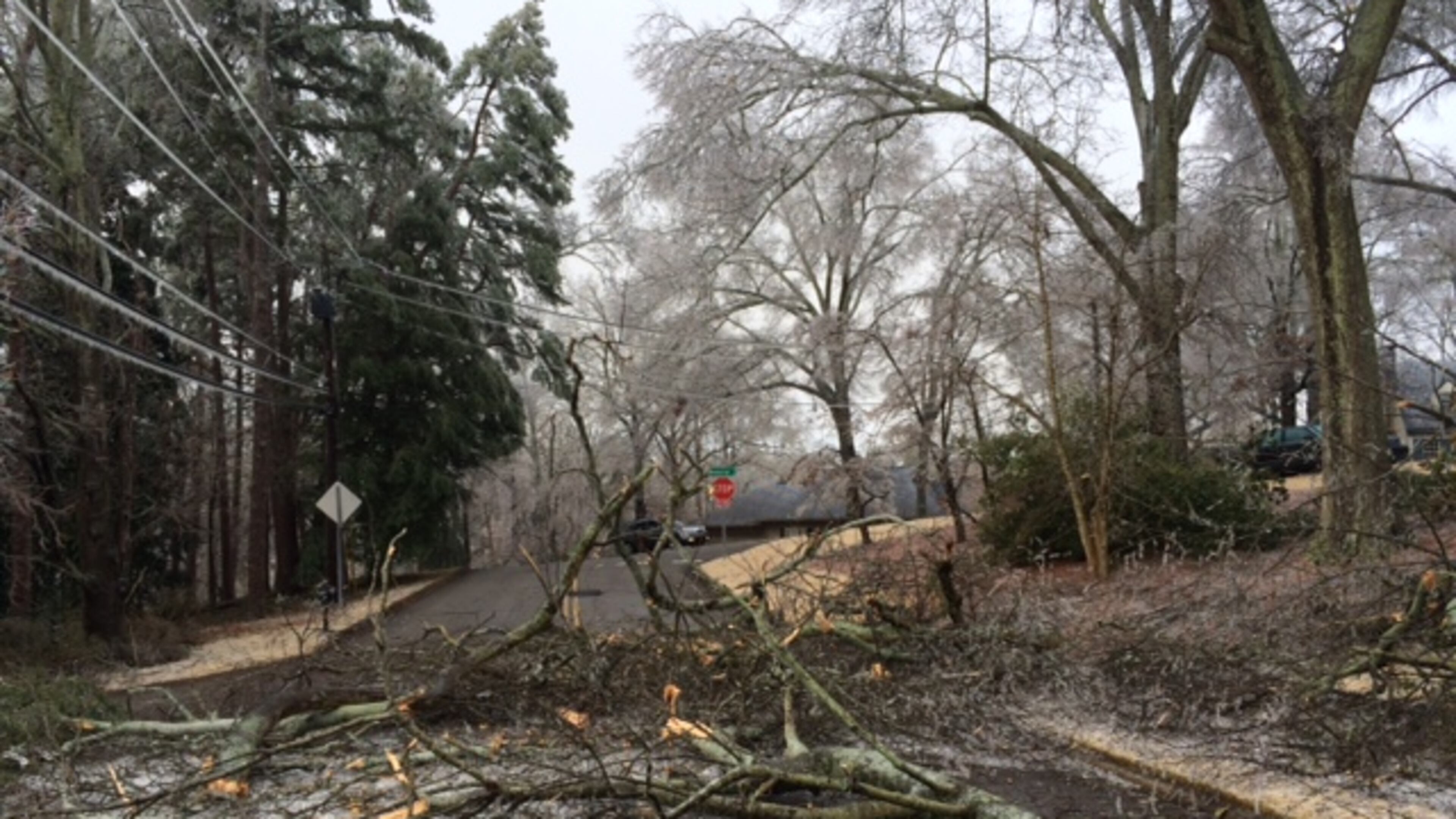 Broken branches covered Gainesville streets and yards Tuesday morning. Most tree limbs were still covered with ice midmorning Tuesday. Steve Visser/svisser@ajc.com