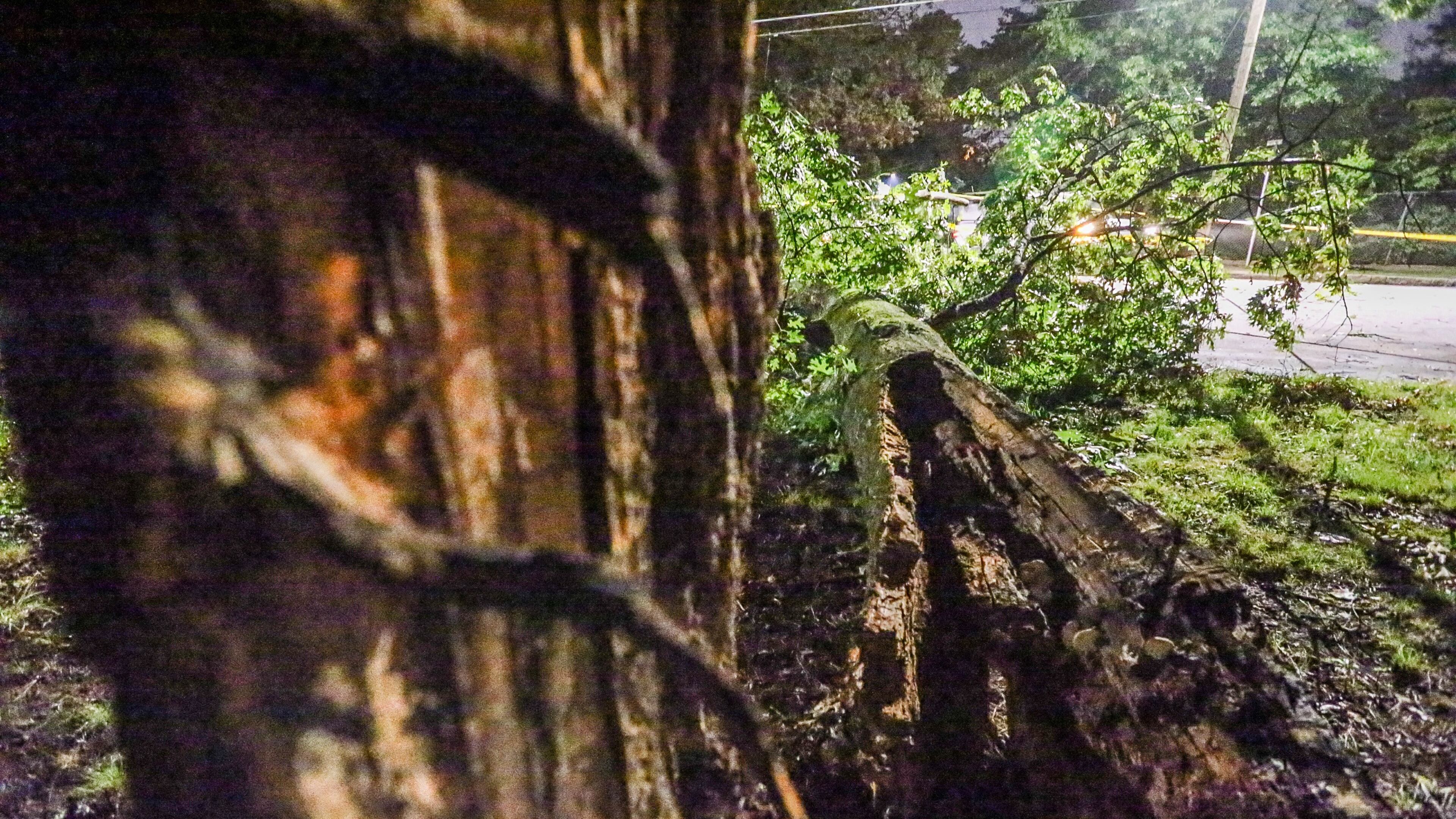 High winds in Tuesday night’s storms snapped a tree on Brewer Boulevard in Atlanta. JOHN SPINK / JSPINK@AJC.COM