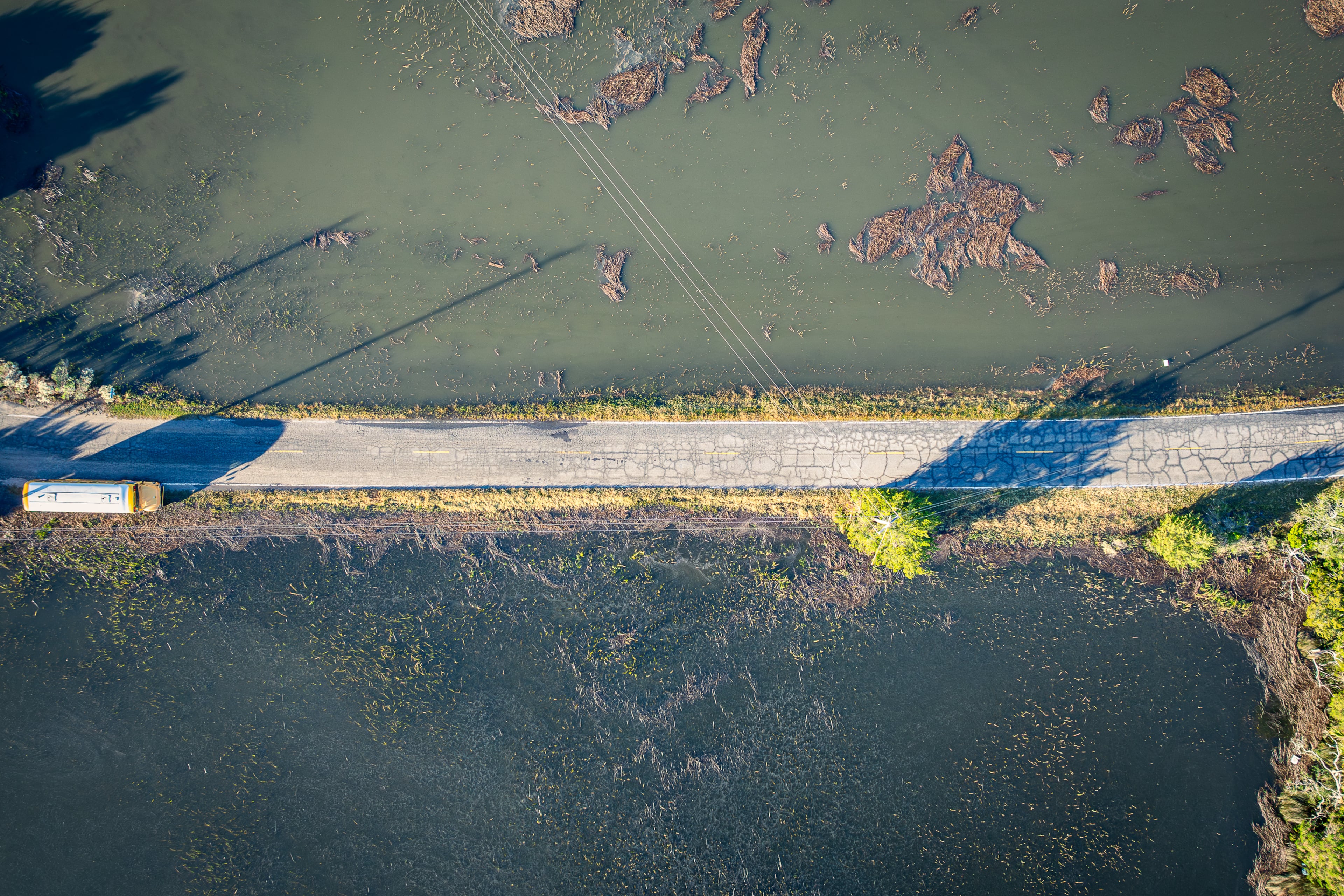 King tides flood coastal areas in McIntosh County. (Justin Taylor for the AJC)