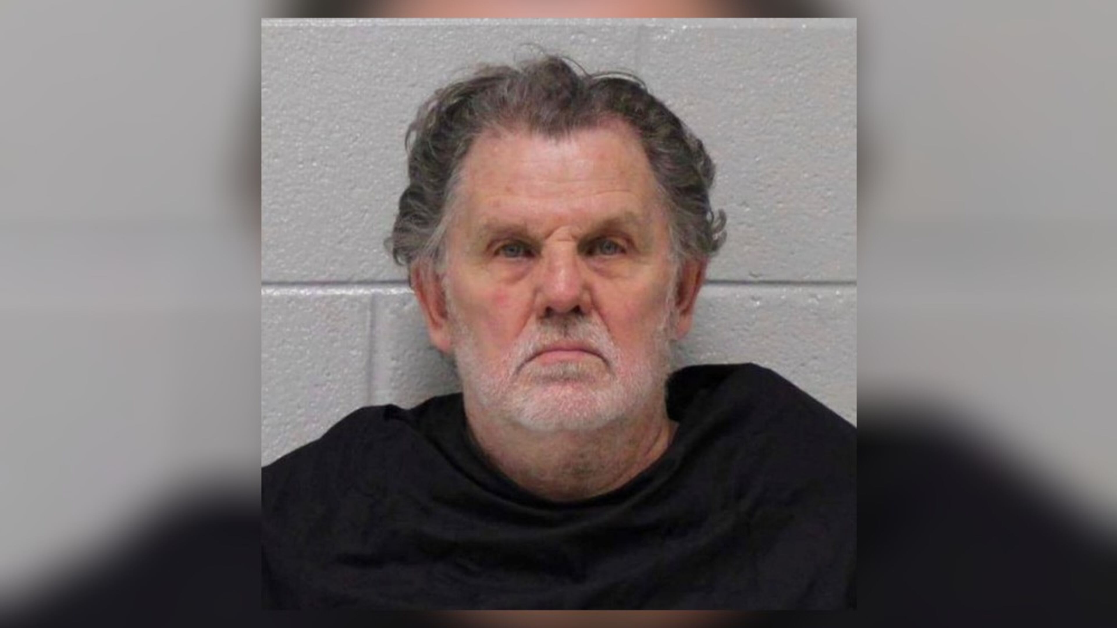 Donald Staley, 80, of Villa Rica, called 911 to confess to shooting his wife, the Carroll County Sheriff's Office said.