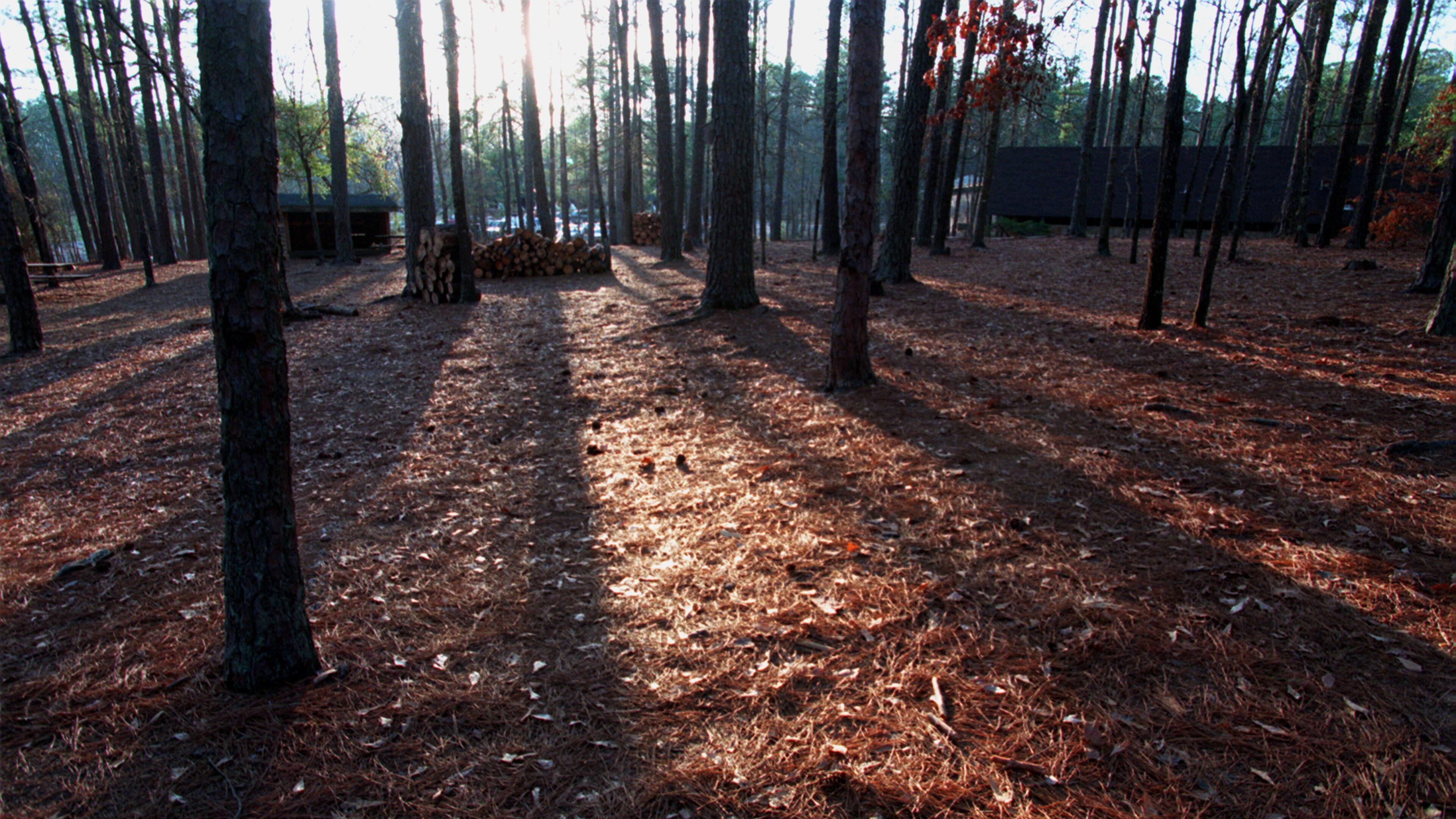 Bert Adams Boy Scout Camp, where human remains found Sunday were identified as 72-year-old Covington man Perry Davis. His daughter and caregiver, Tamela Renee Carter, has been charged with concealing his death and several counts of forgery.