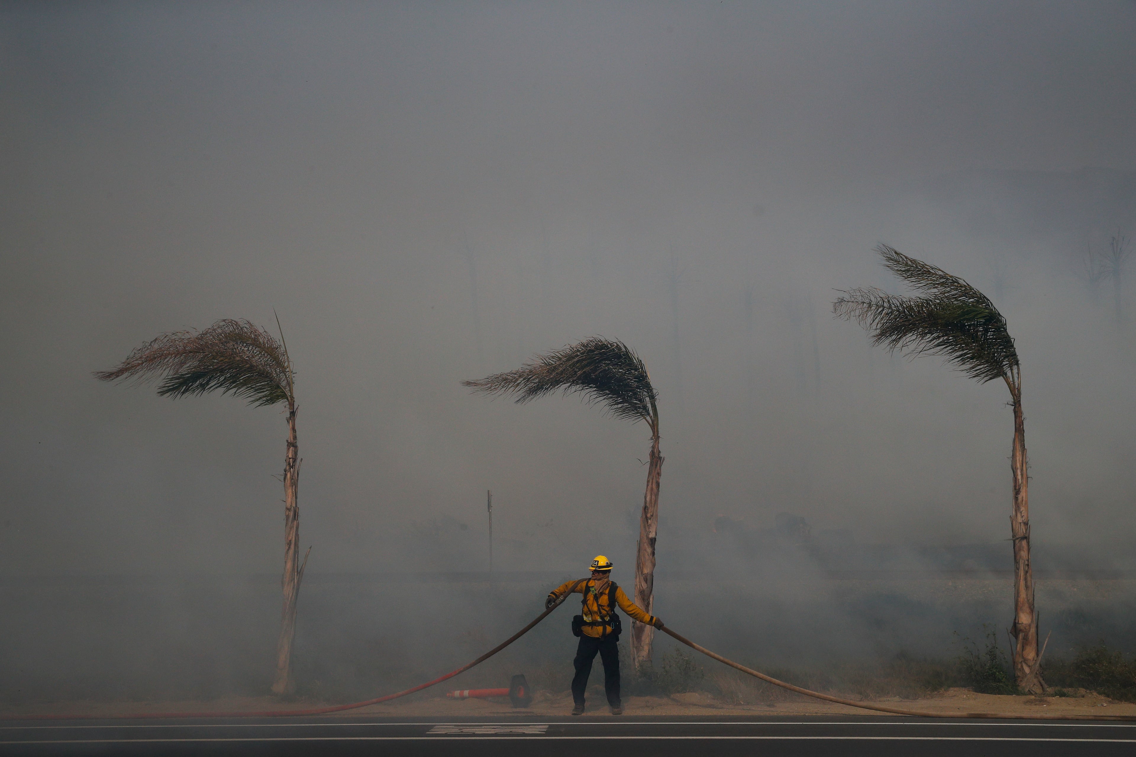 Palm trees sway in a gust of wind as a firefighter carries a water hose while battling a wildfire at Faria State Beach in Ventura, Calif., Thursday, Dec. 7, 2017. The wind-swept blazes have forced tens of thousands of evacuations and destroyed dozens of homes. (AP Photo/Jae C. Hong)