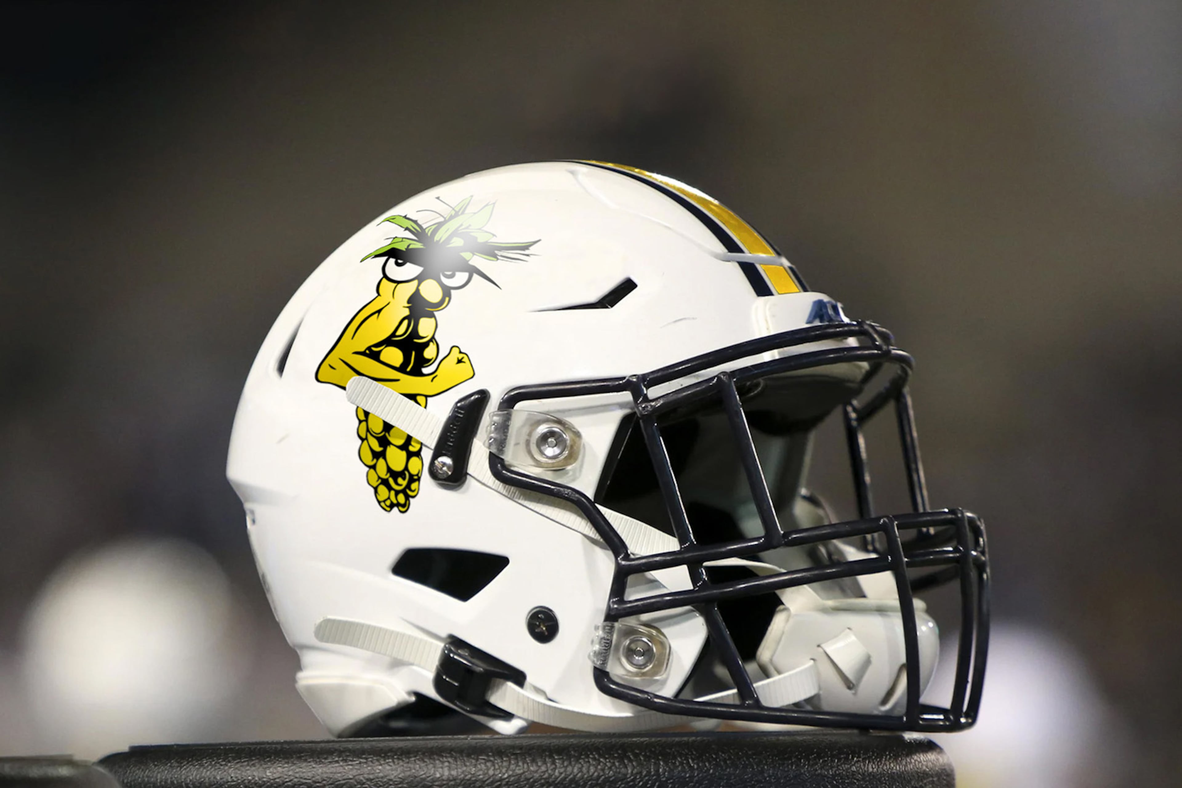 Georgia Tech unveiled a new mascot - Paul Lenny the Fightin' Pollen - in an April Fools' Day joke on Tuesday April 1, 2025. Photo by Georgia Tech