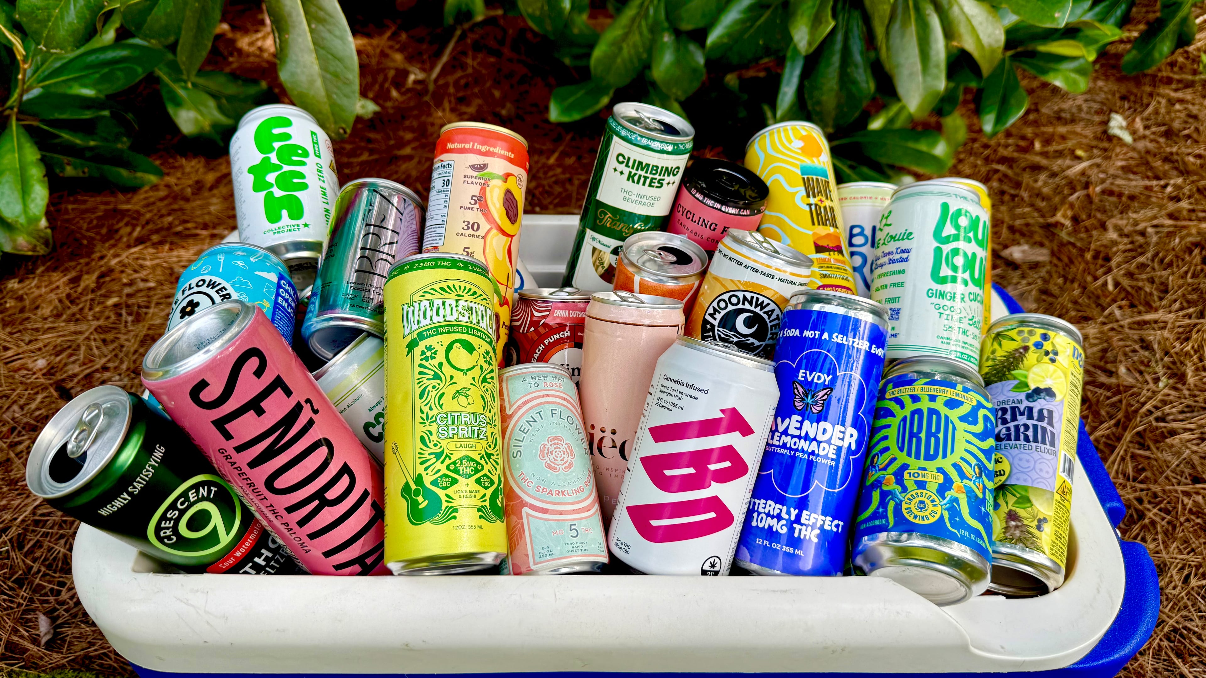 Angela Hansberger tested dozens of cans of CBD and THC beverages, shopping locally. Options have become tasty as brands expand, with varied dosage levels. (Angela Hansberger for the AJC)