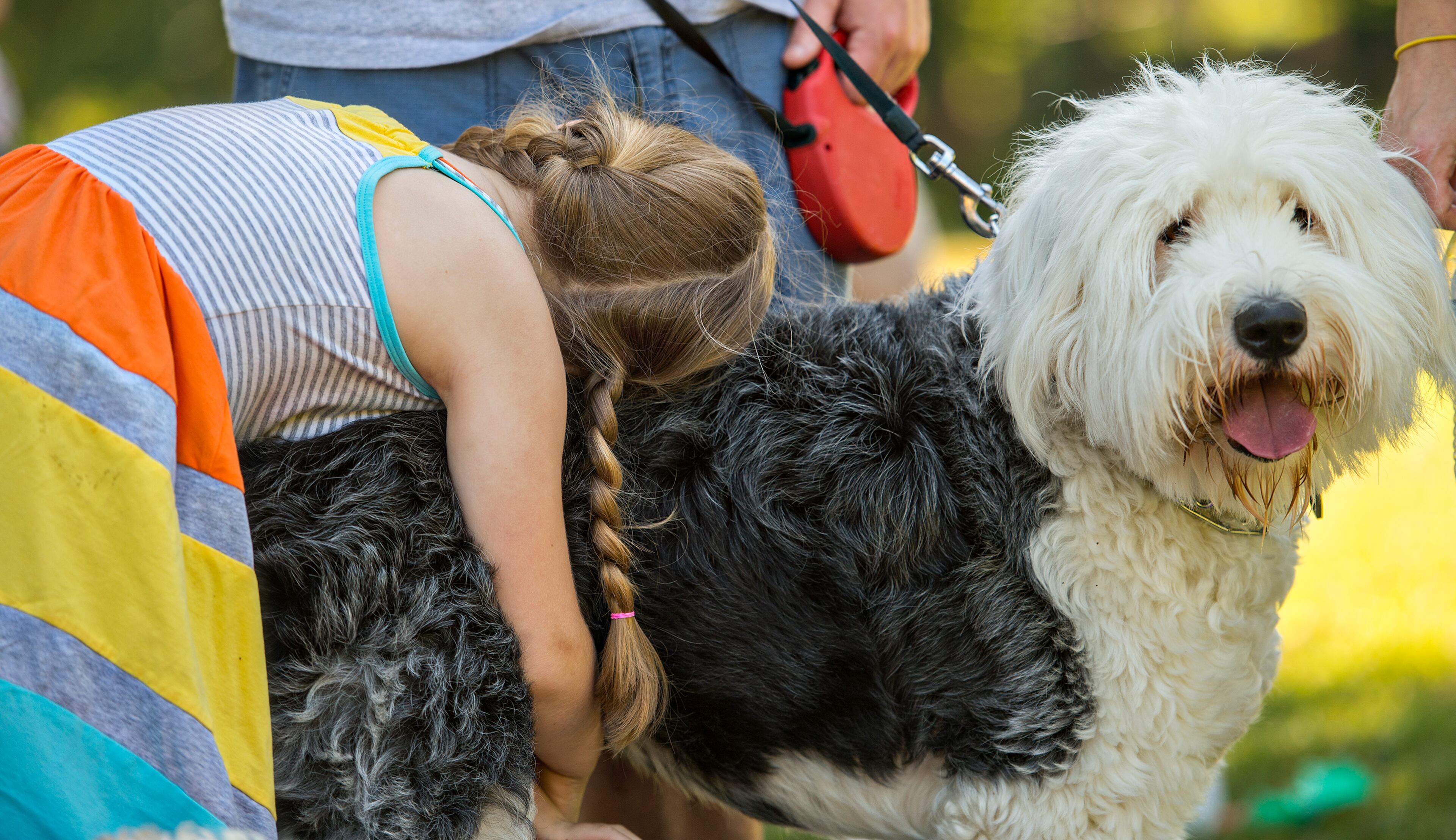 Courtney Hall (left) hugs Leah, an old english sheepdog during Bark at the Park at Brookhaven Park on Saturday, May 23, 2015. The first-ever event for Brookhaven featured a variety of pet companies handing out treats and goodies as well as trick shows put on by Academy Dog Sports. JONATHAN PHILLIPS / SPECIAL