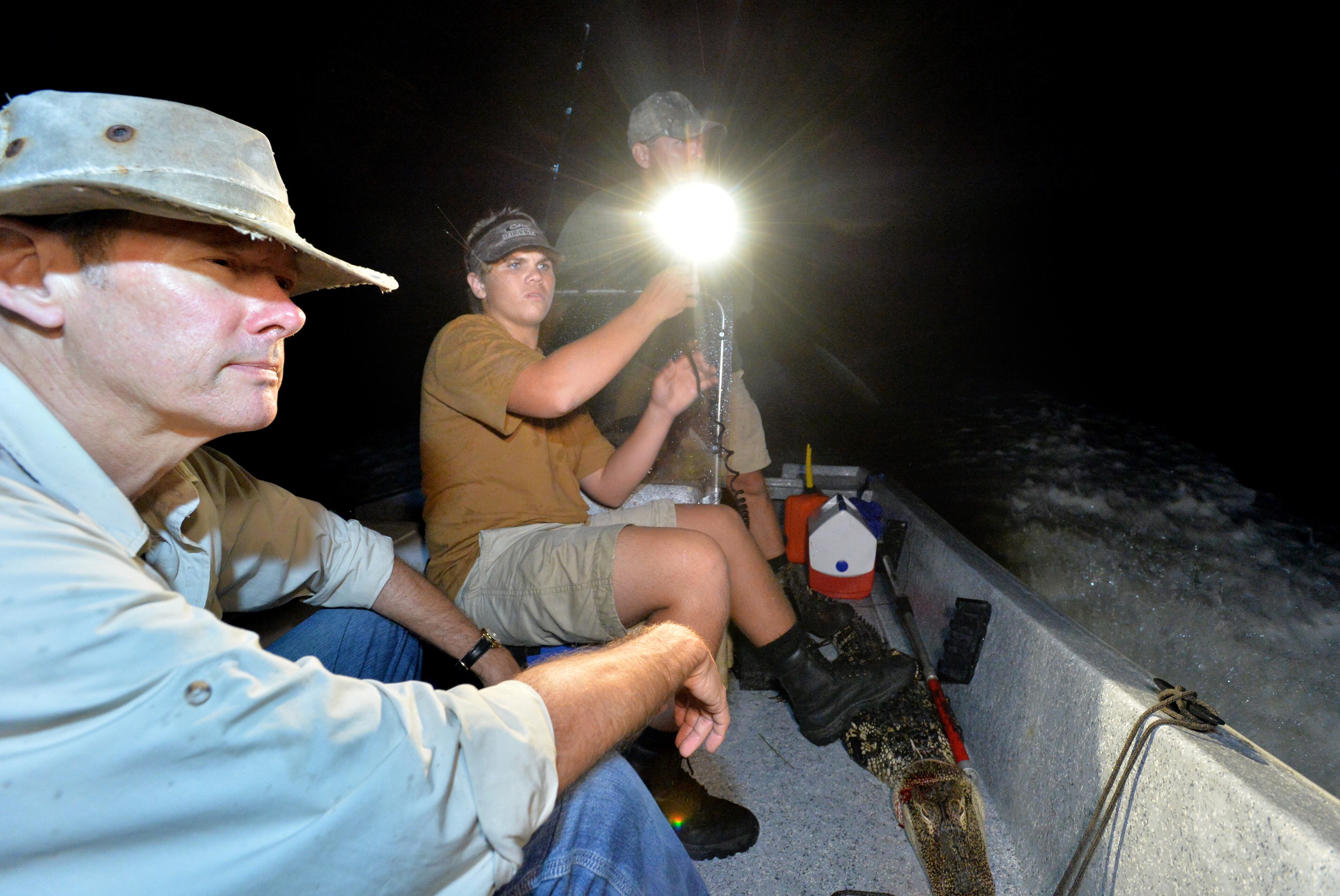 AJC reporter Mark Davis and Jim Gillis (background) and his son Griffin,16, return to a boat ramp after they captured a 6 feet 8 inches long female gator in Darien on Saturday night, September 6, 2014. Georgia's alligator season runs Sept. 6 through Oct. 5, and it's no easy ticket. More than 11,000 people applied last year, with the state only offering 850 slots. The state considers its abundance of alligators to be one of its conservation success stories. Alligators were once listed as endangered because of poaching and encroaching development on their habitat, but wildlife management efforts helped them come back enough to be downlisted in 1987. HYOSUB SHIN / HSHIN@AJC.COM