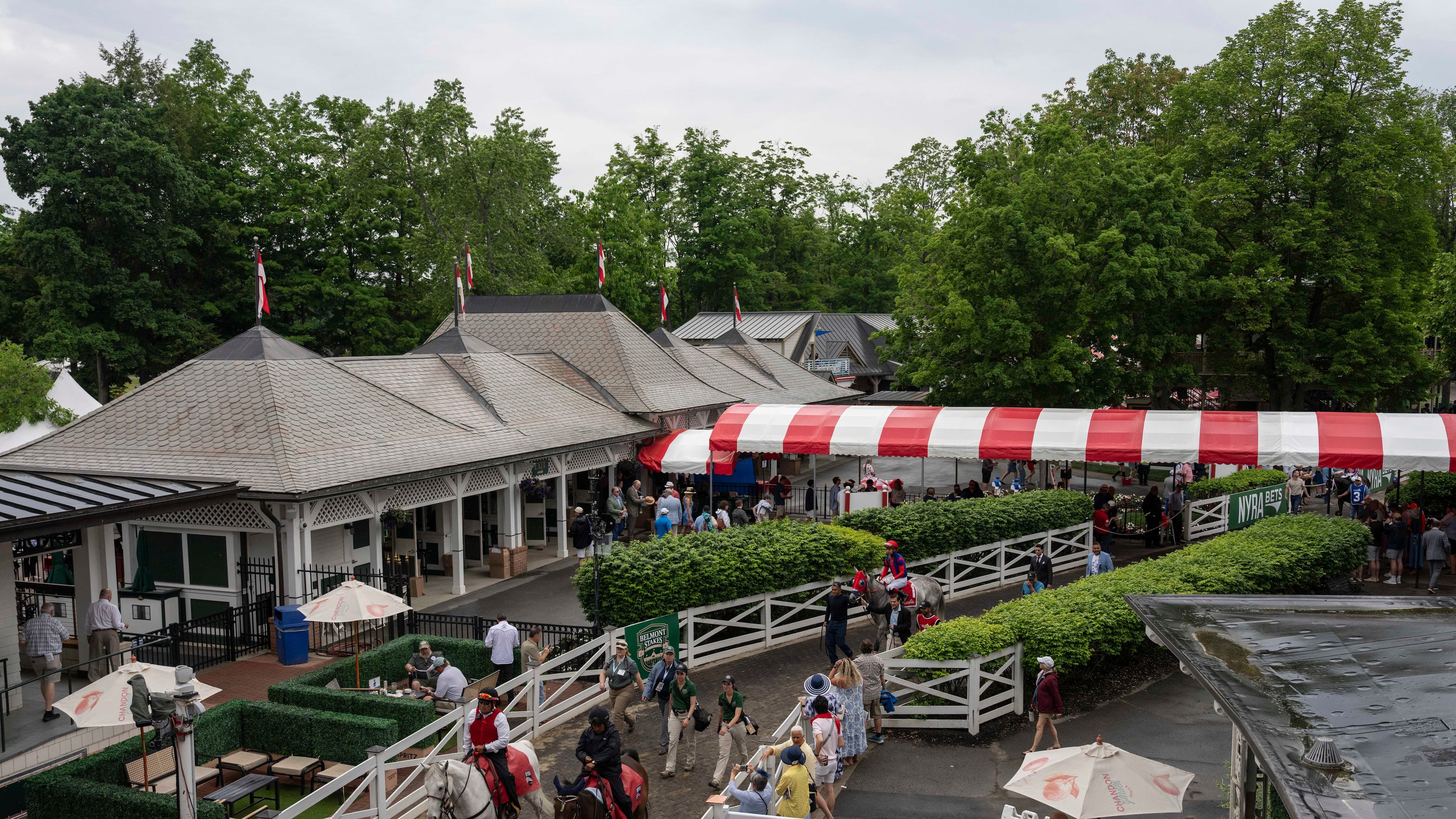 Jockeys walk thoroughbreds to the track for the second race of the day before the 158th running of the Belmont Stakes horse race at Saratoga Race Course, Saturday, June 6, 2026, in Saratoga Springs, N.Y. (AP Photo/Yuki Iwamura)