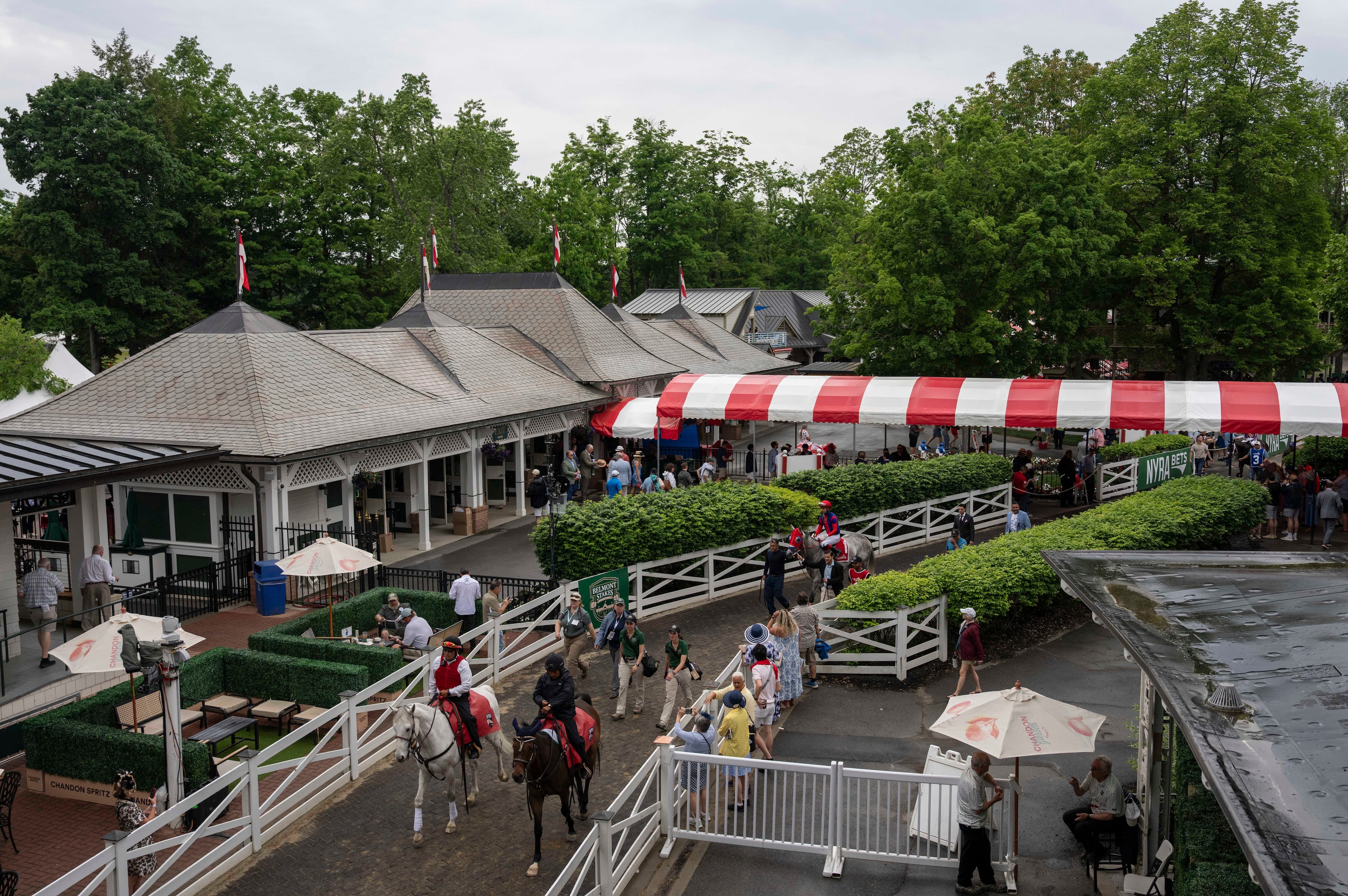 Belmont Stakes Horse Racing