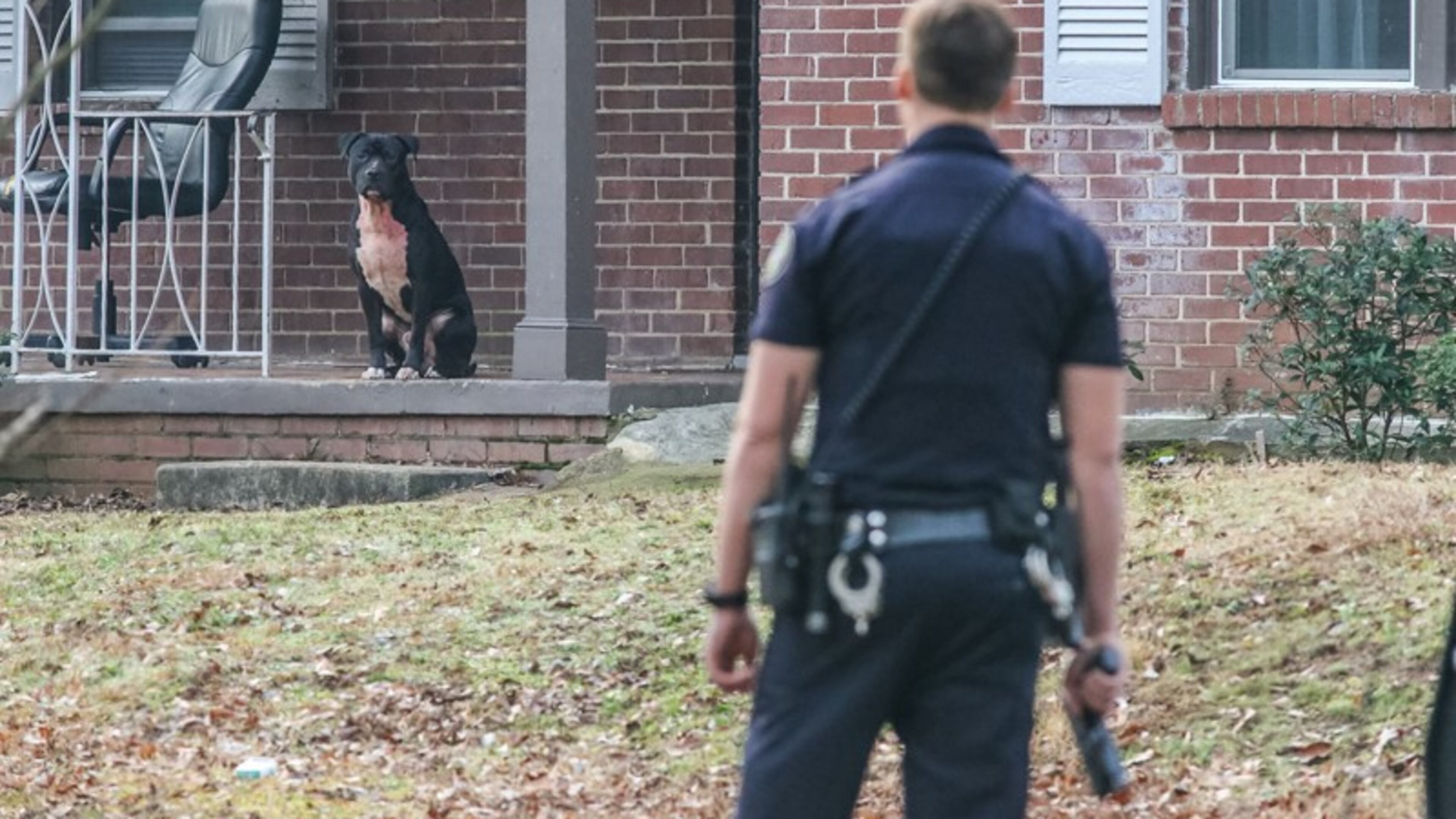 The proposed ordinance was introduced following the mauling of two children in southwest Atlanta in January. One of the children died. AJC file photo