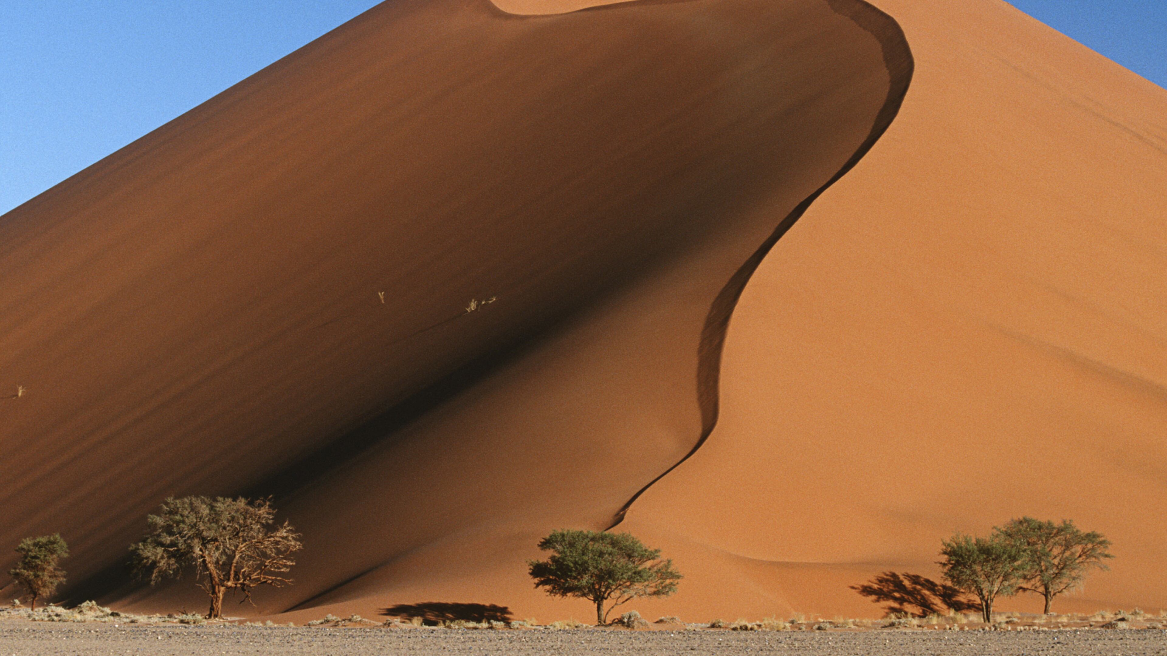 One of Namibia's famed sand dunes. (Dreamstime)