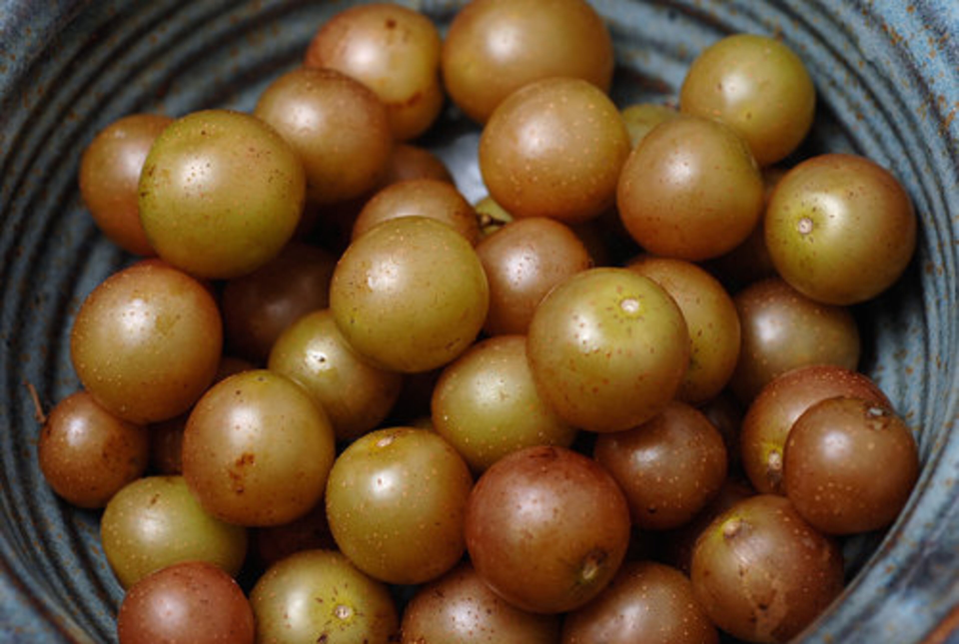 The muscadine, the South's native grape species, can be eaten by themselves or made into other tasty treats, from desserts to wine.